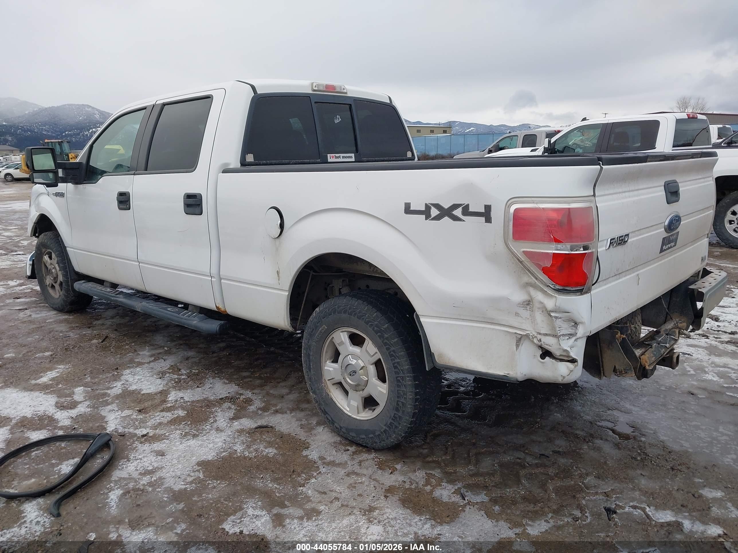 FORD F-150 image 3