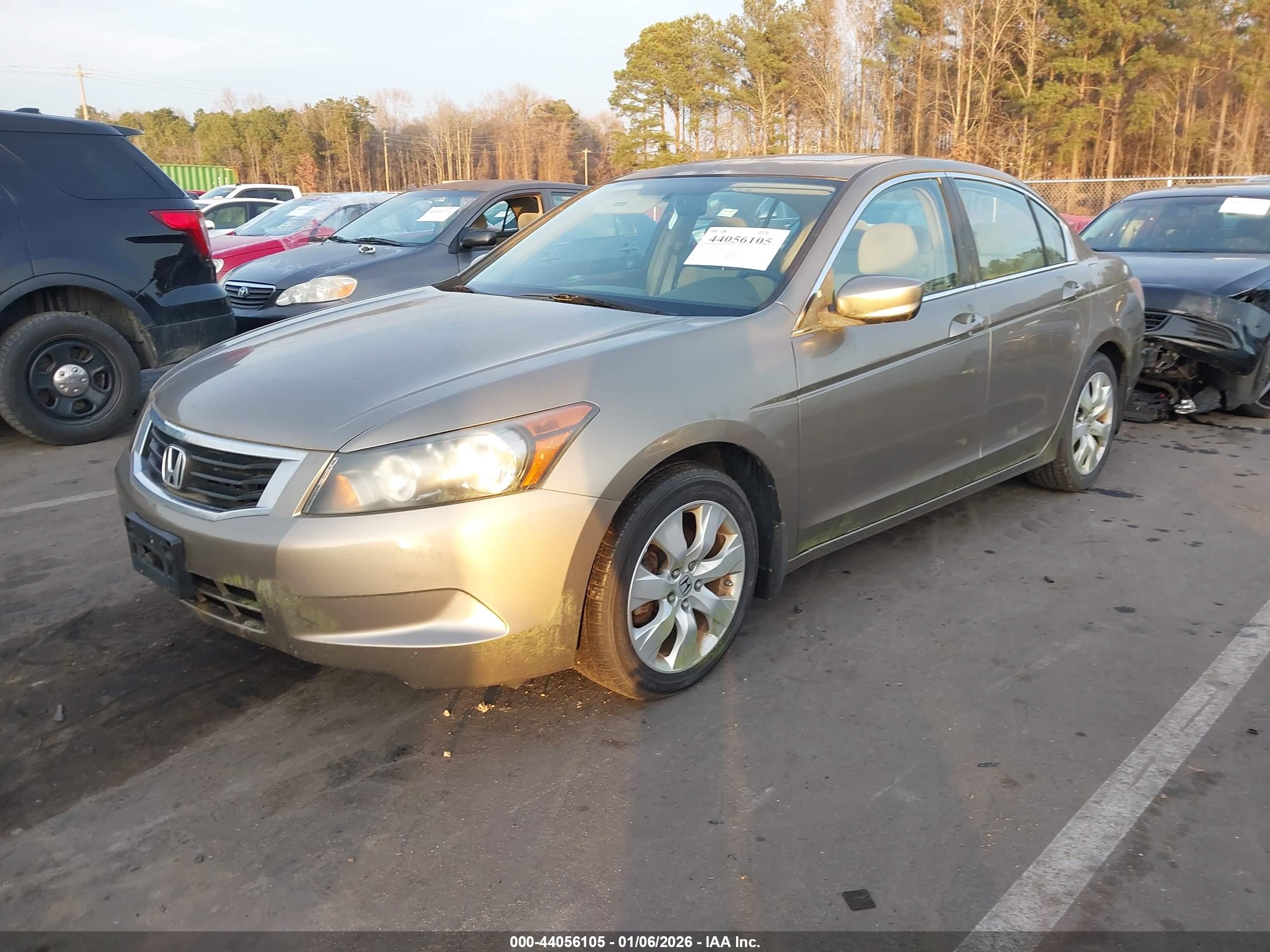 HONDA ACCORD image 2