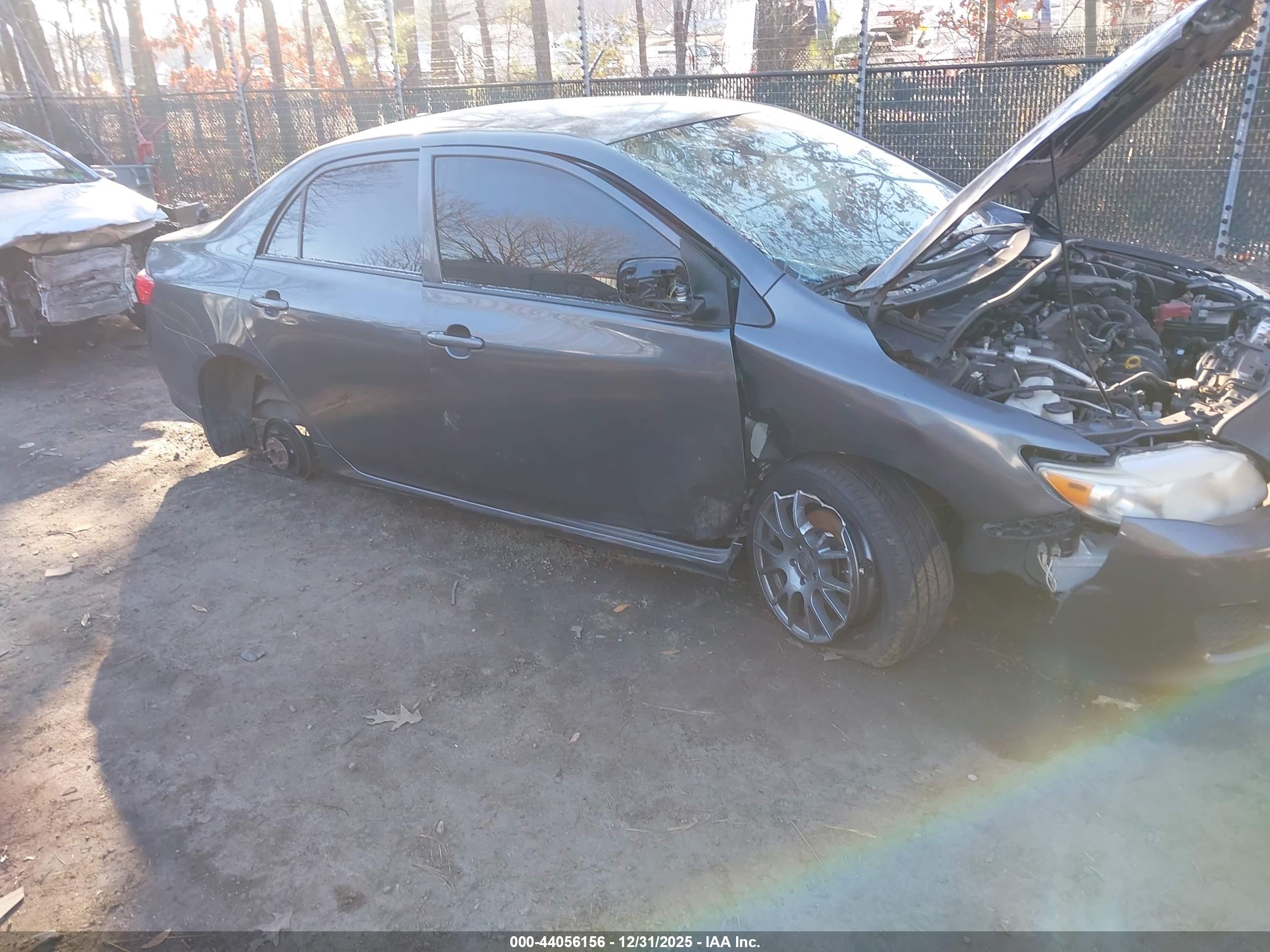 TOYOTA COROLLA image 6