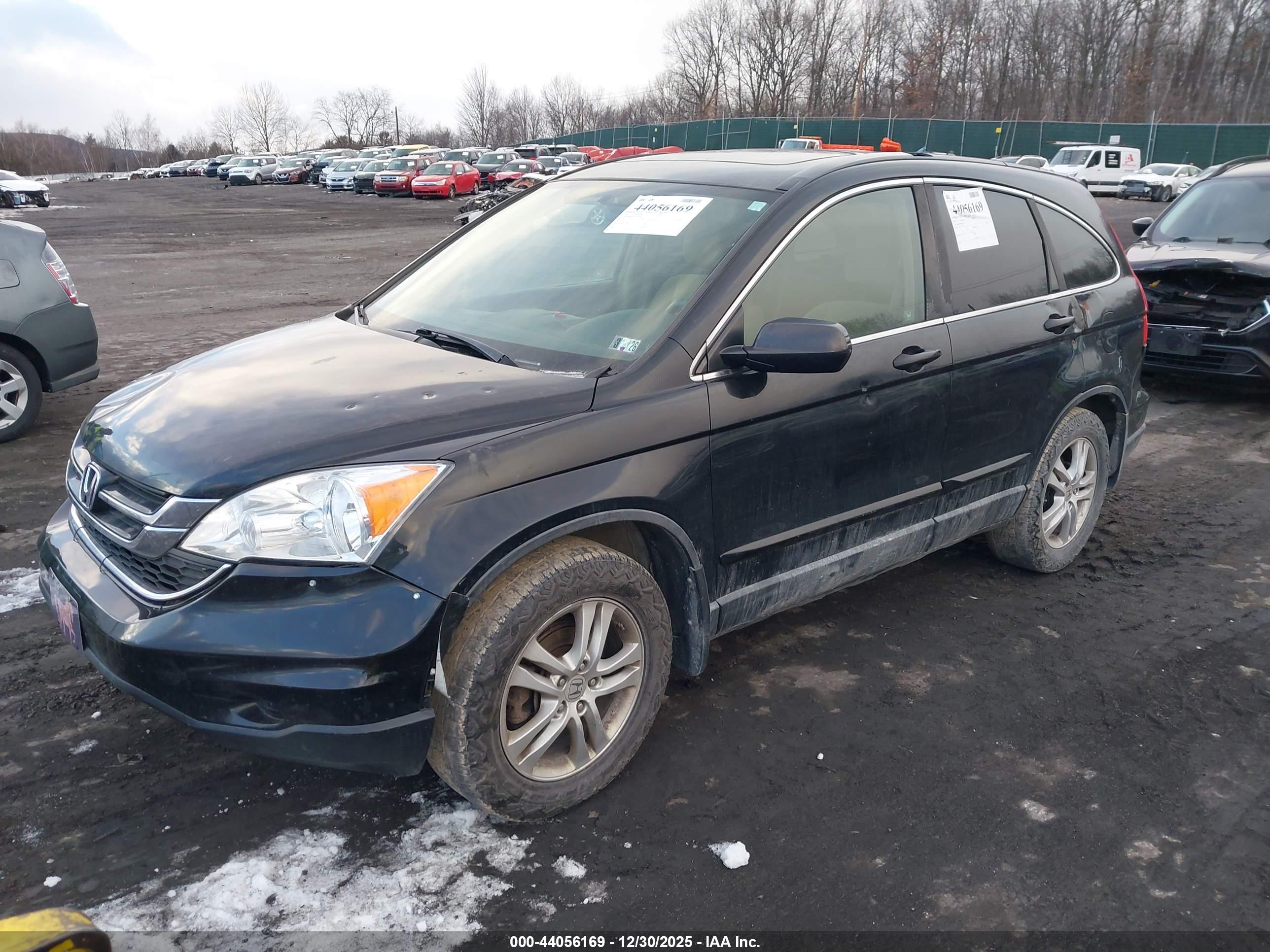 HONDA CR-V image 2