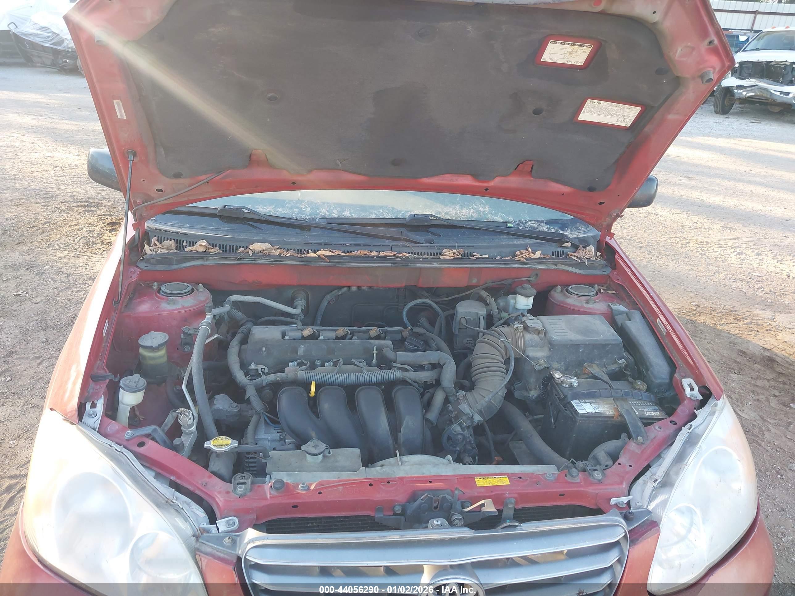 TOYOTA COROLLA image 10
