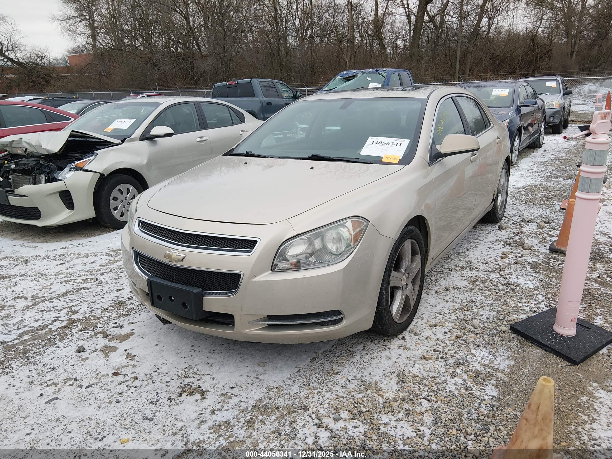 CHEVROLET MALIBU image 2