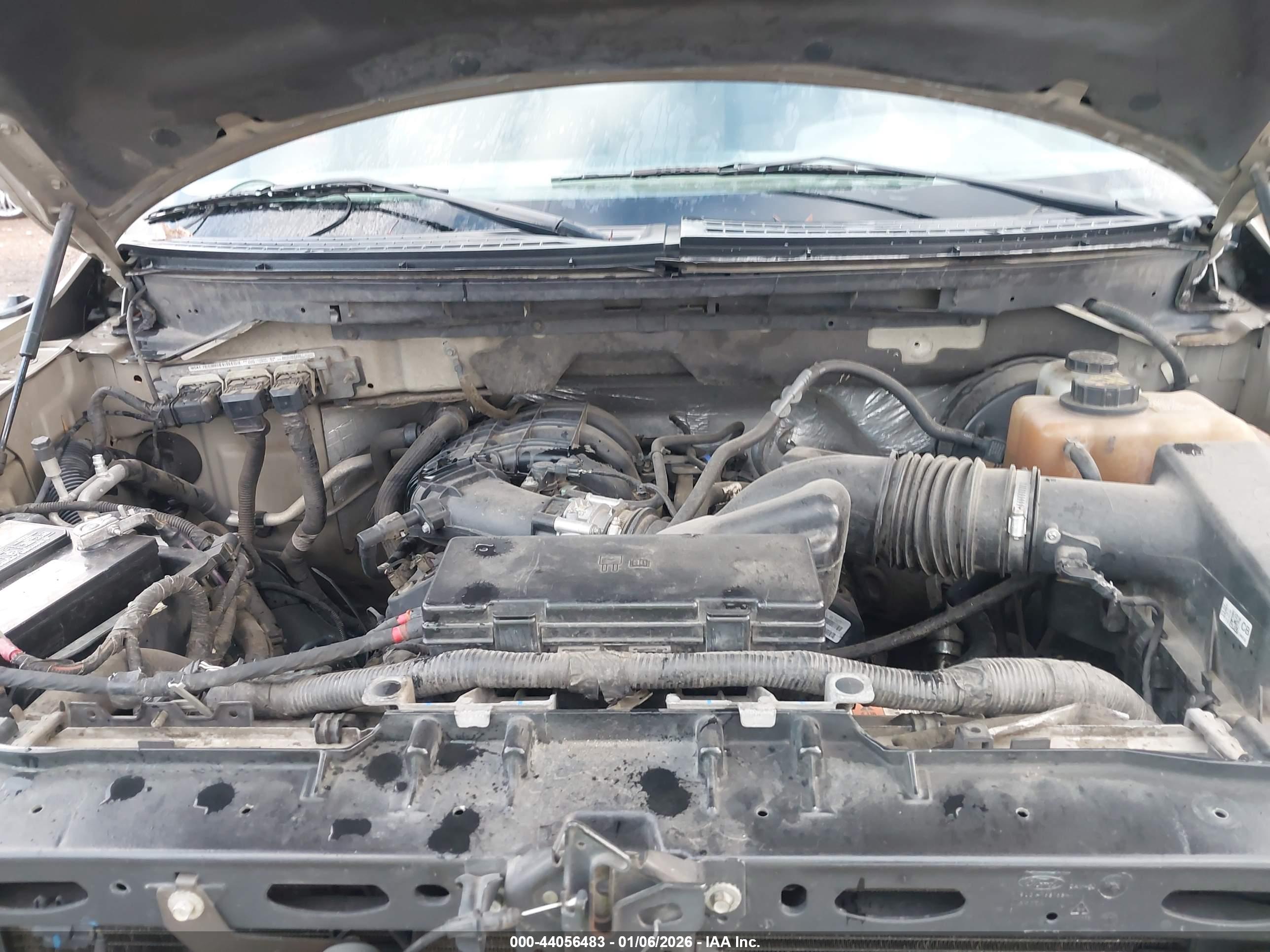 FORD F-150 image 10