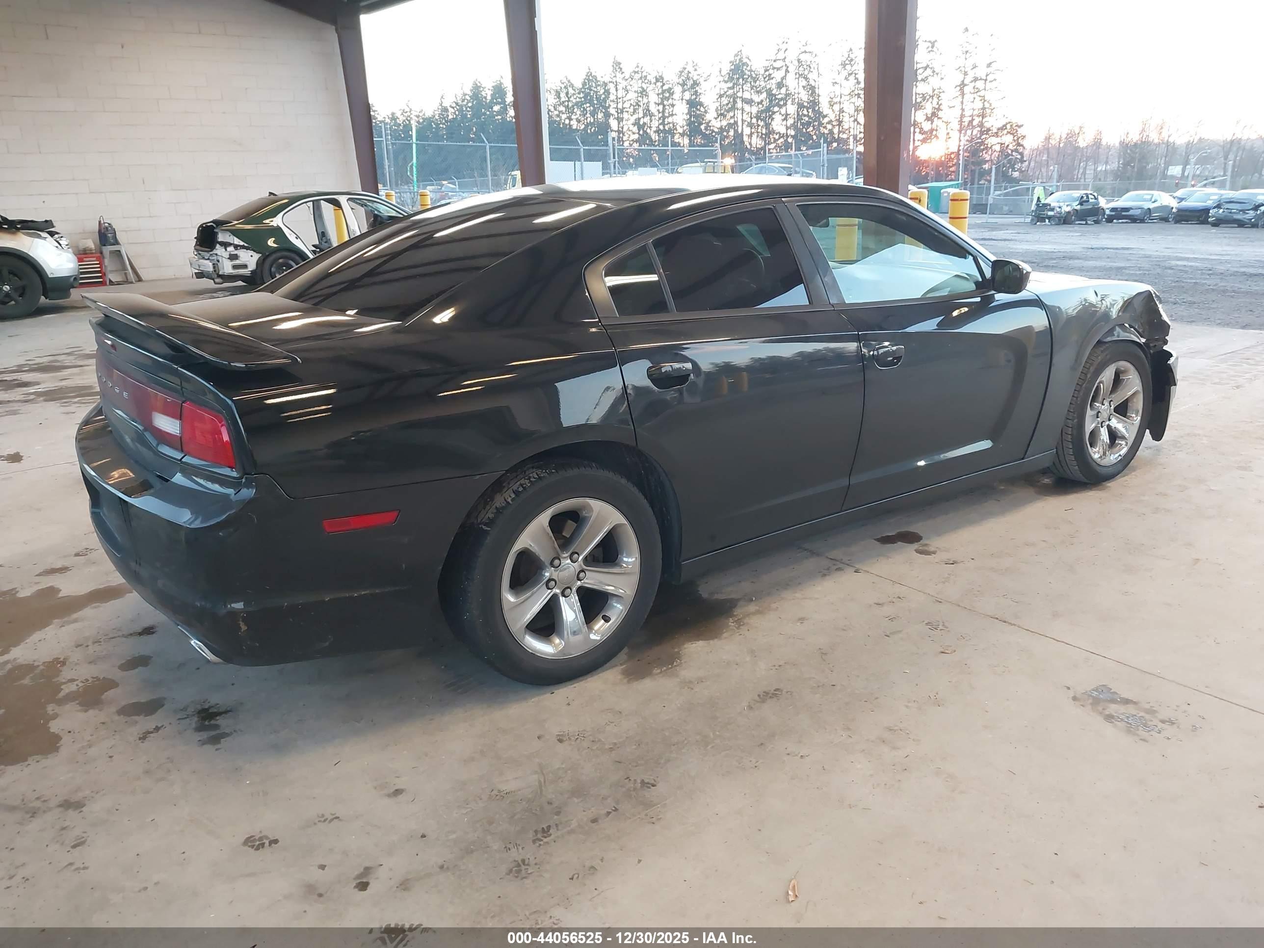 DODGE CHARGER image 4