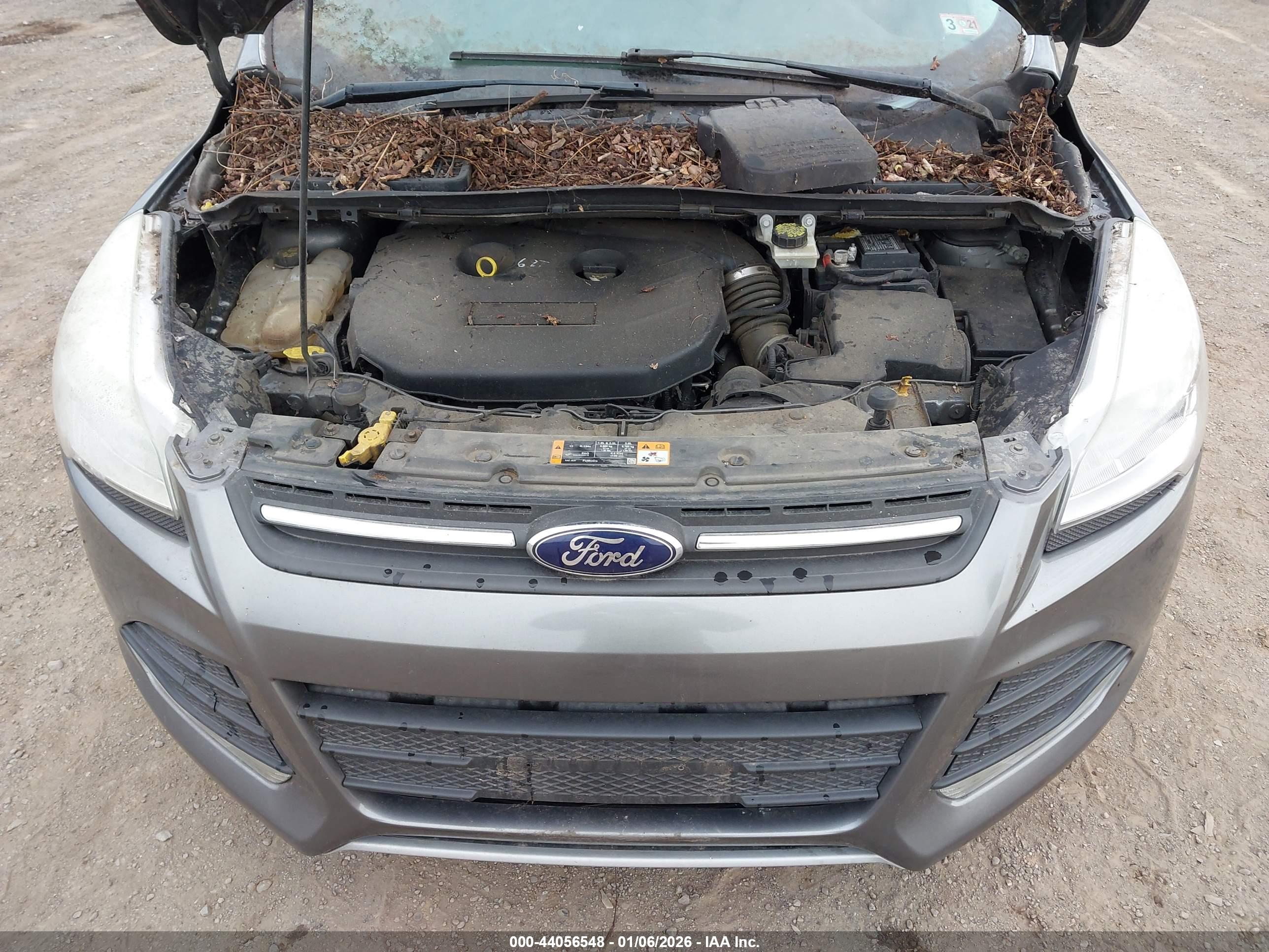 FORD ESCAPE image 6