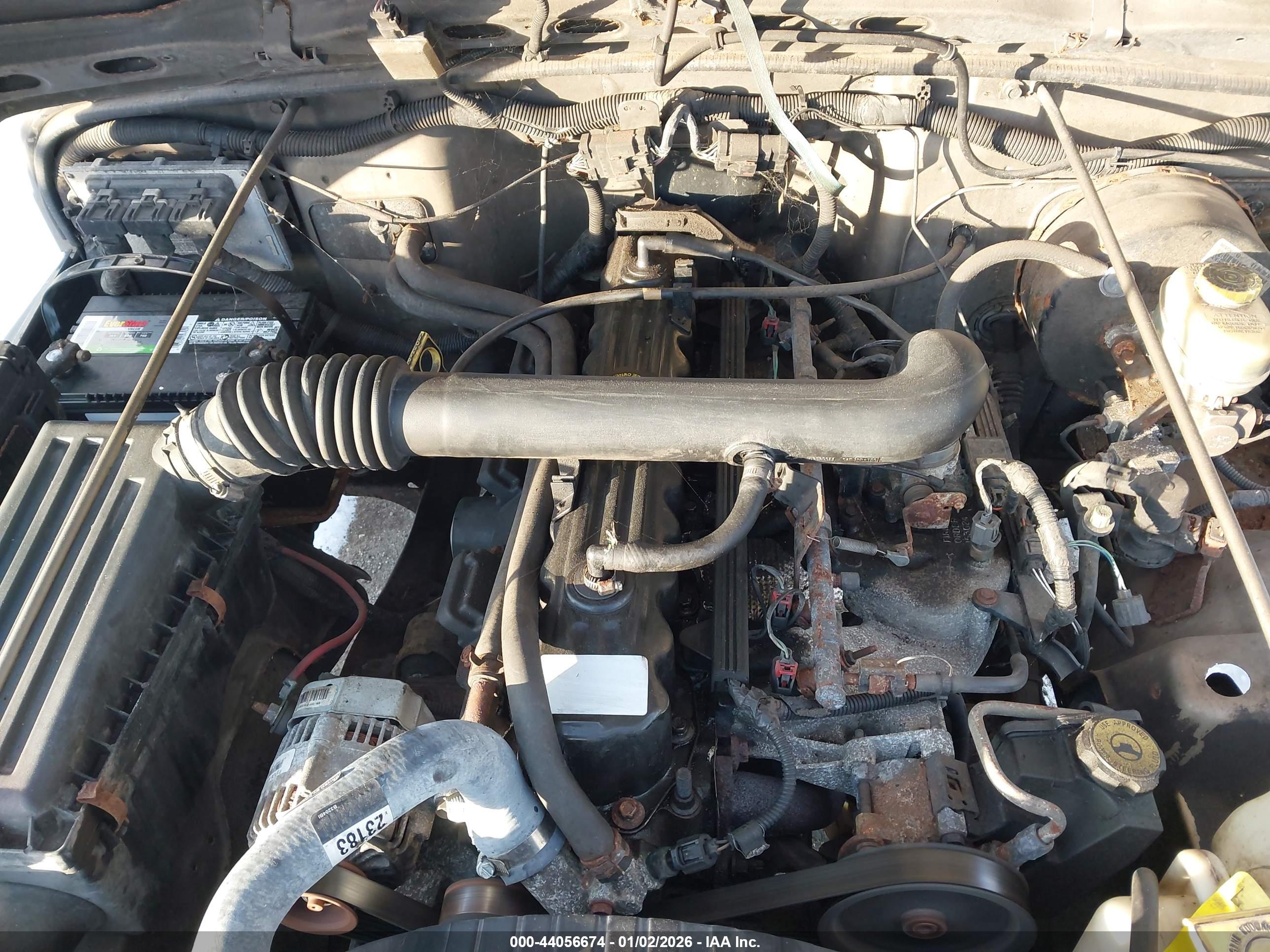 JEEP WRANGLER image 10