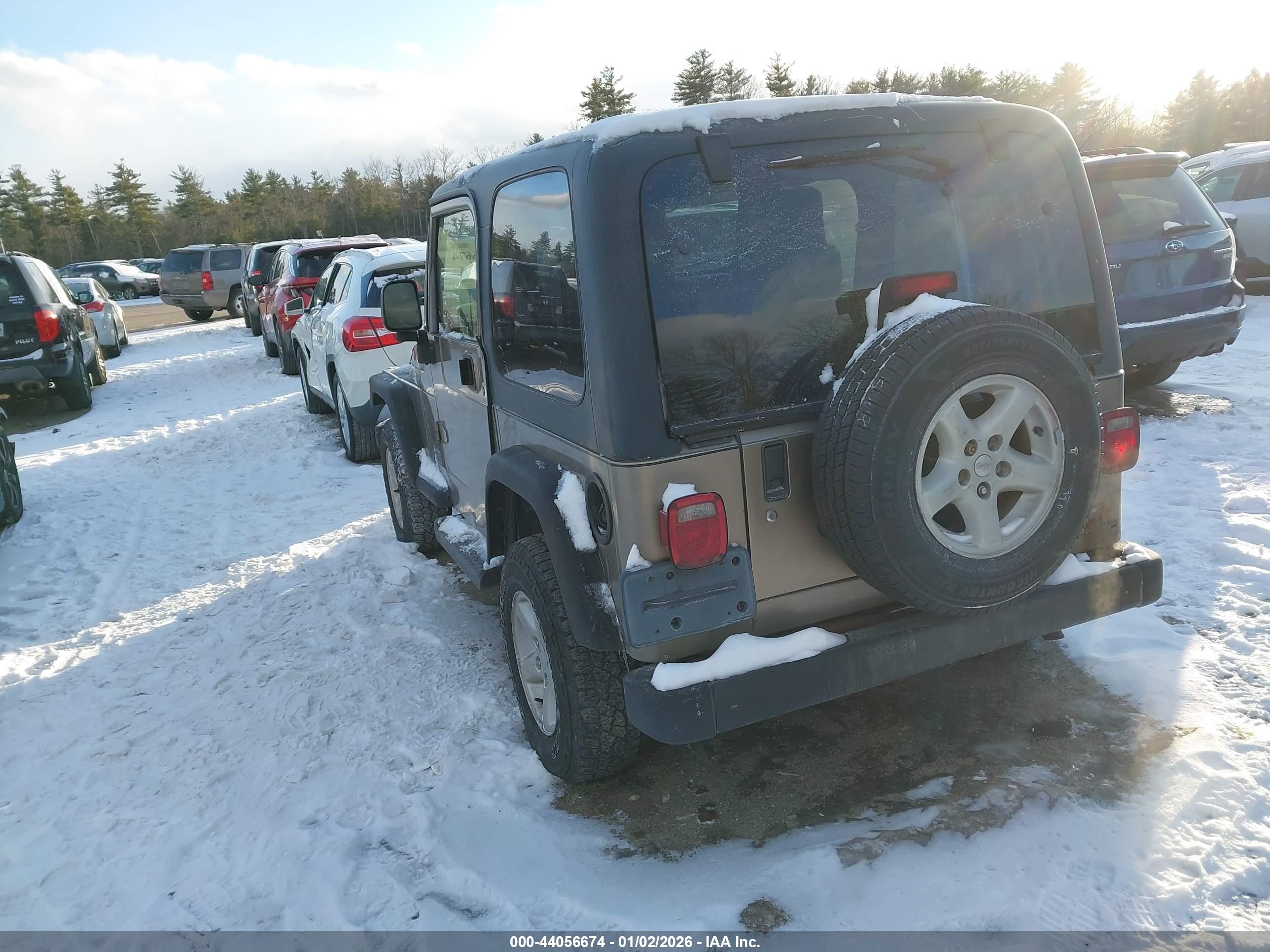 JEEP WRANGLER image 3