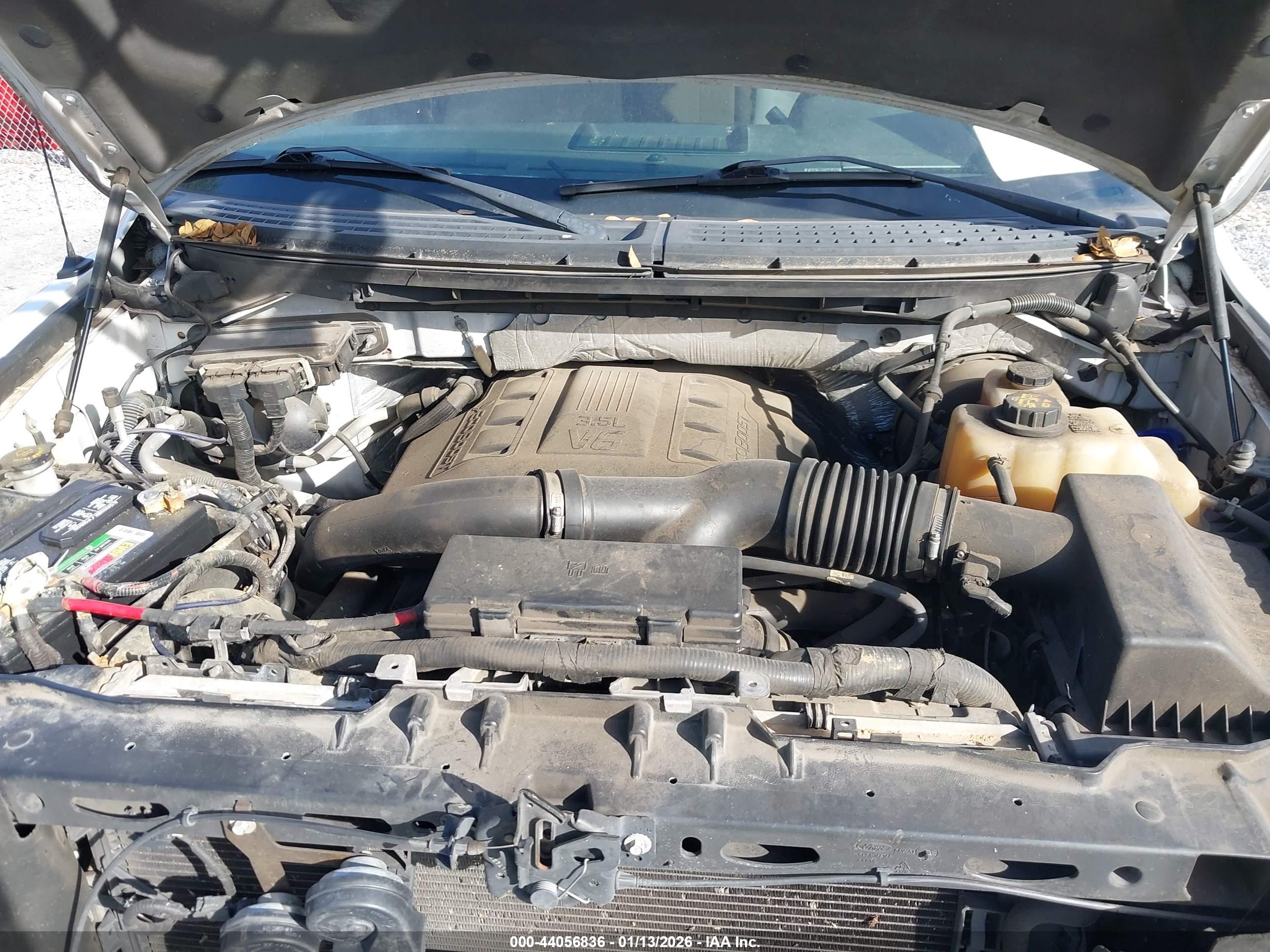 FORD F-150 image 10