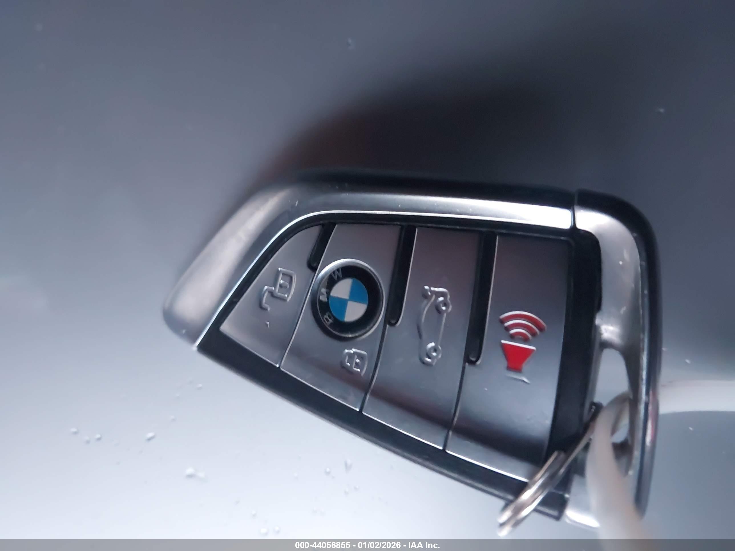BMW X7 image 11