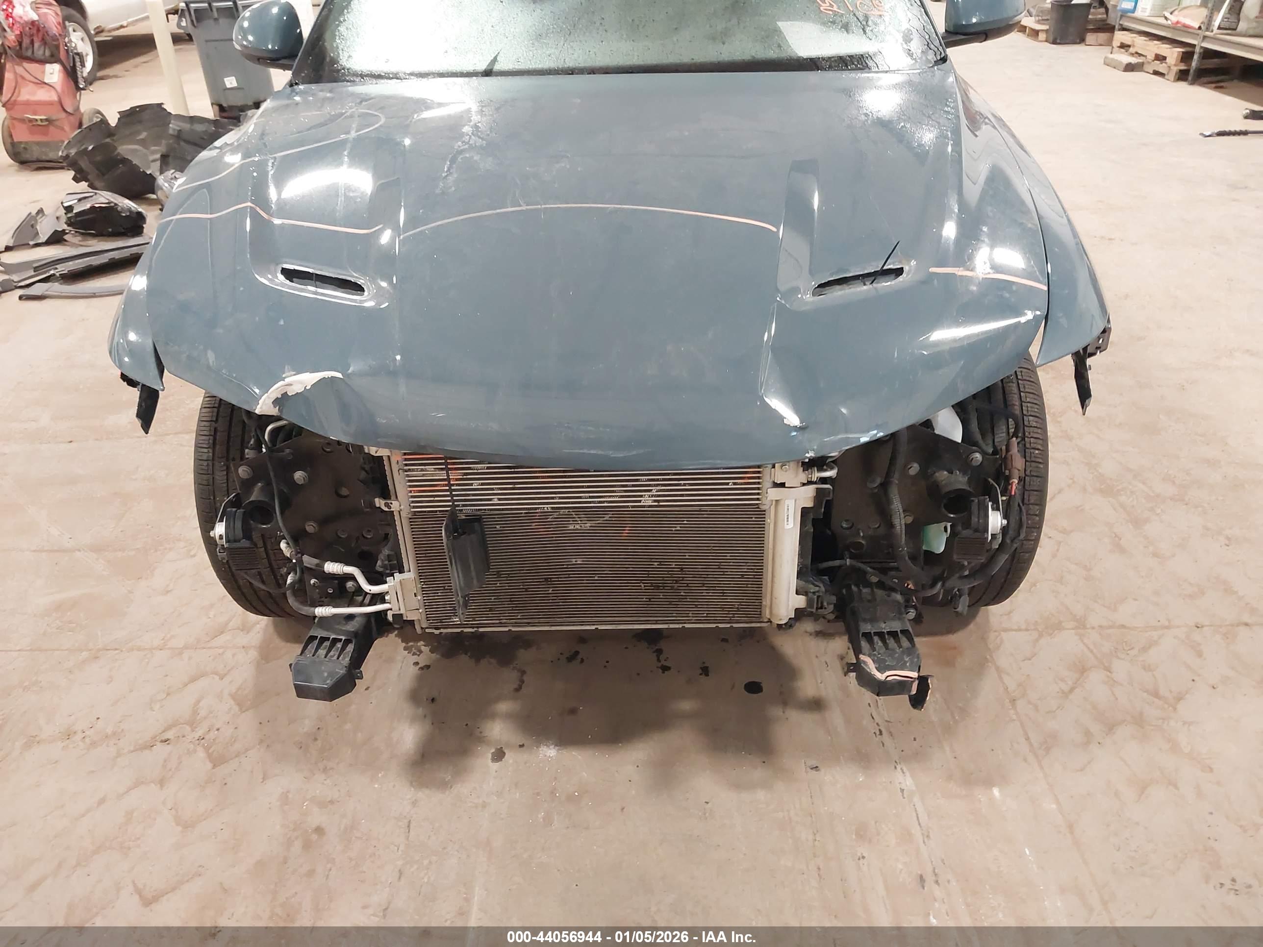 DODGE HORNET image 6