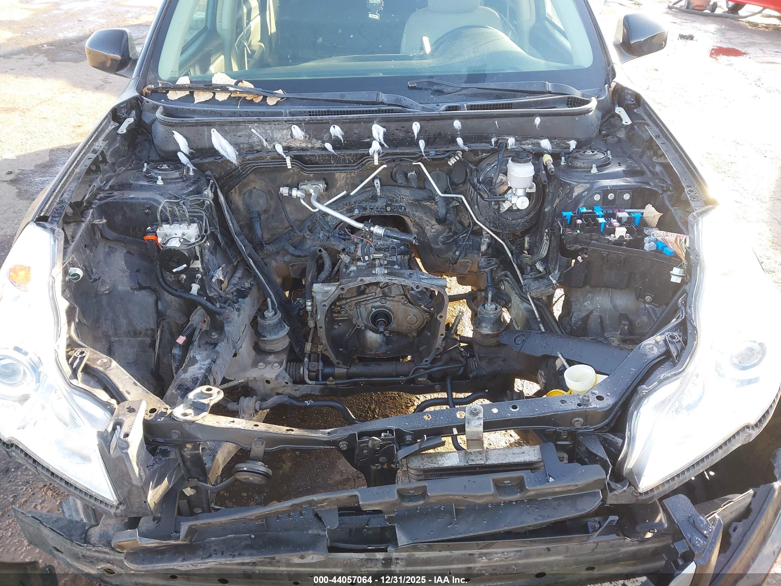 SUBARU OUTBACK image 10