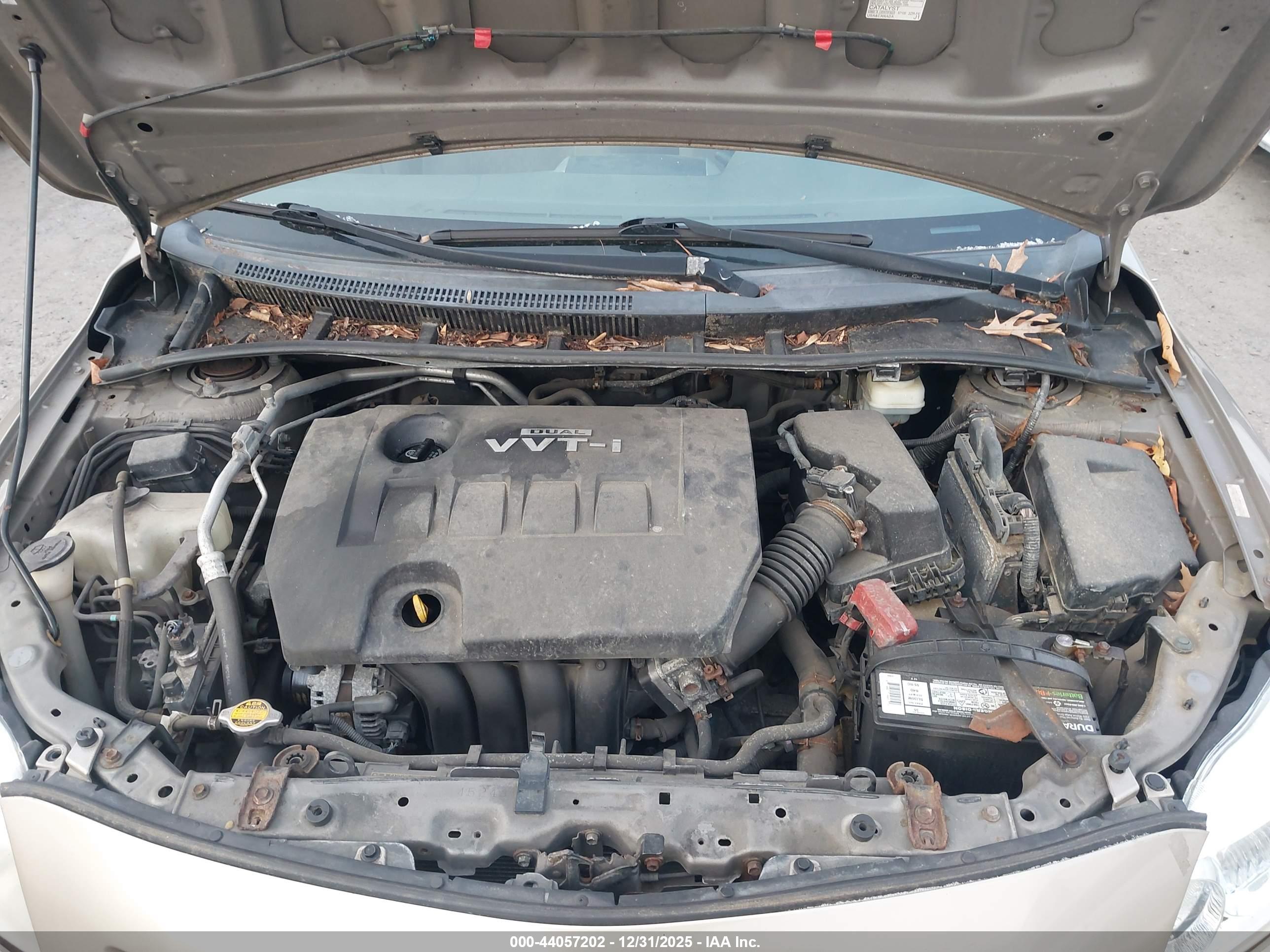 TOYOTA COROLLA image 10