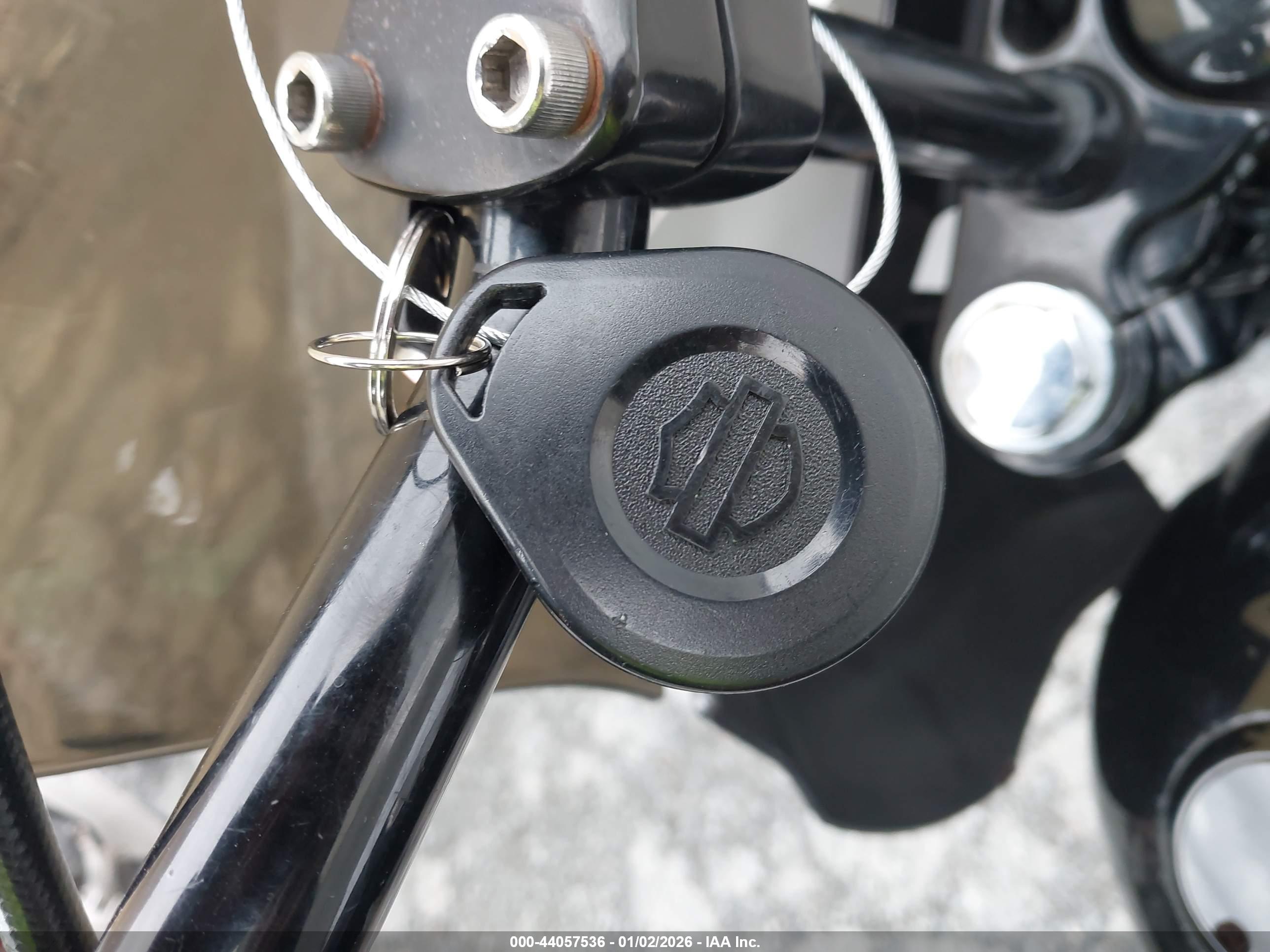 HARLEY-DAVIDSON FXDLS image 11