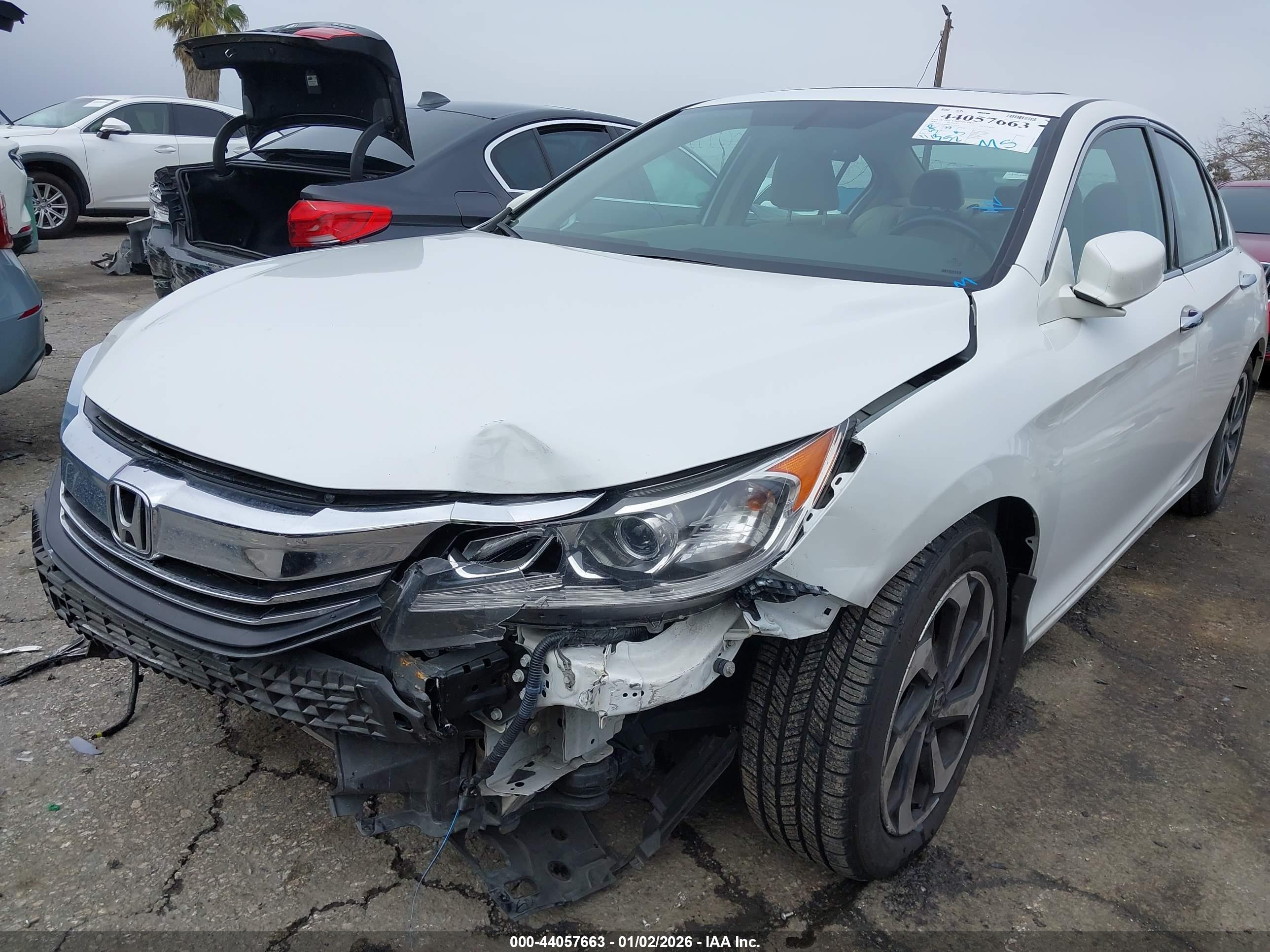HONDA ACCORD image 6