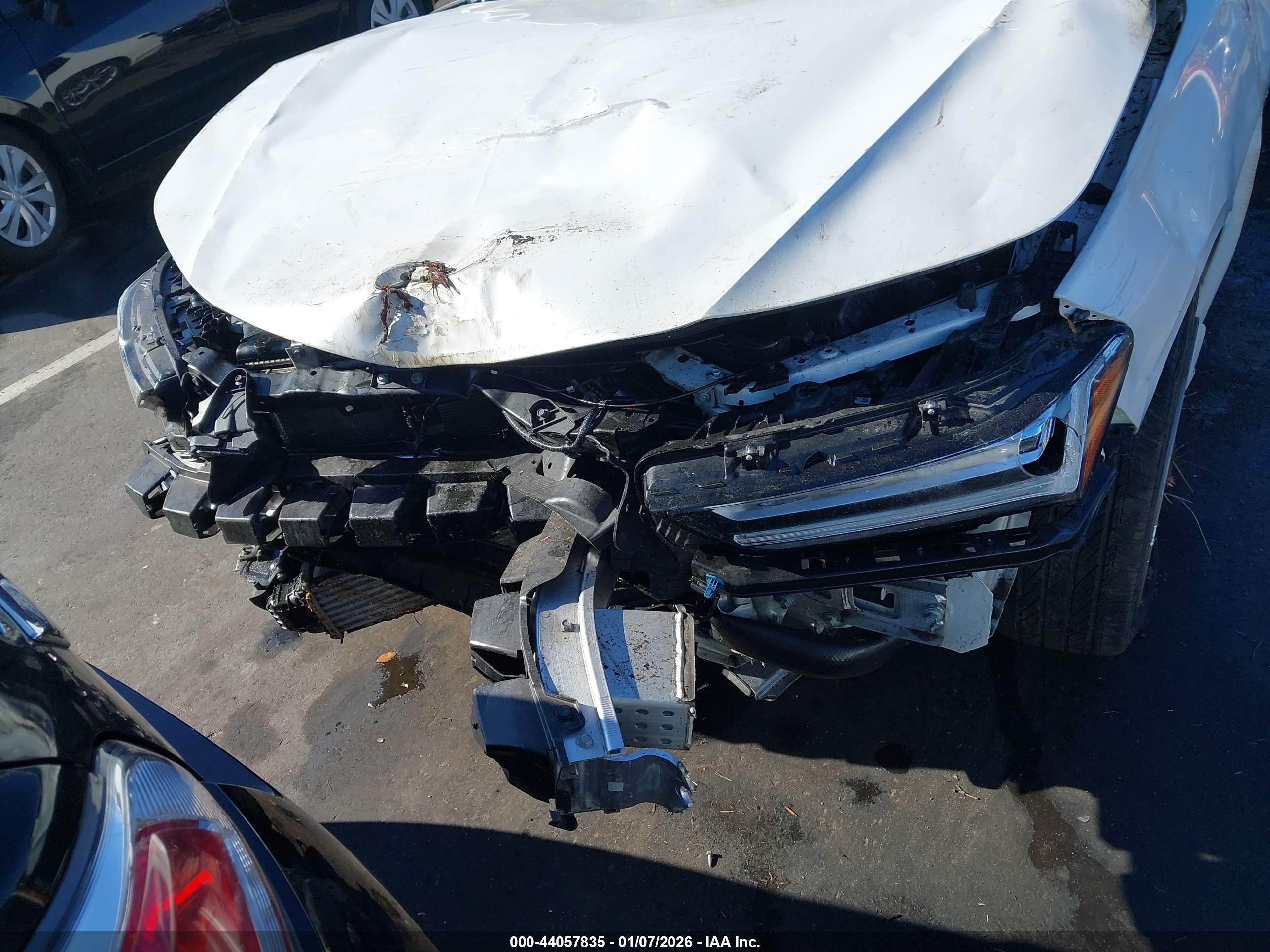 ACURA TLX image 6