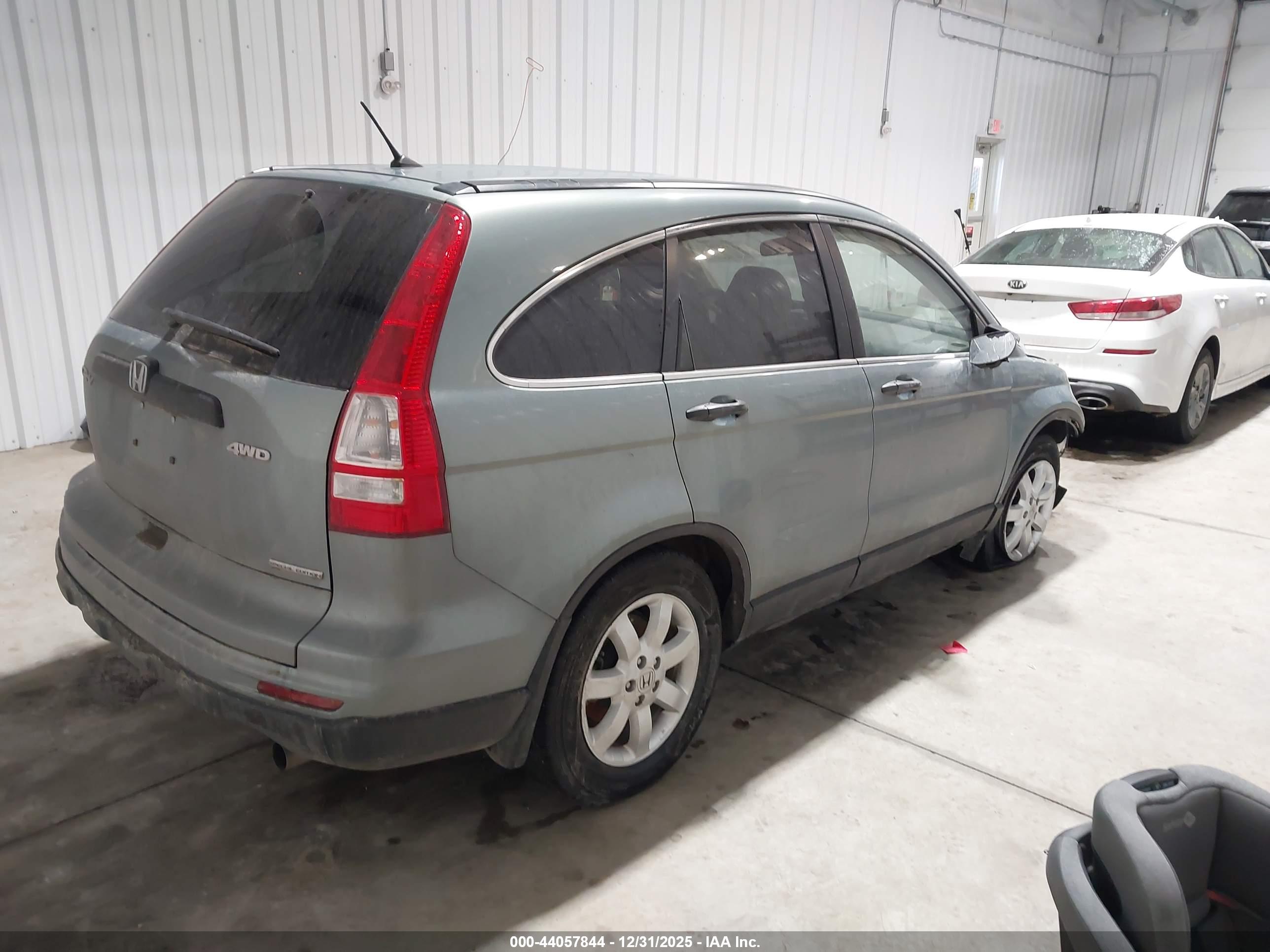 HONDA CR-V image 4