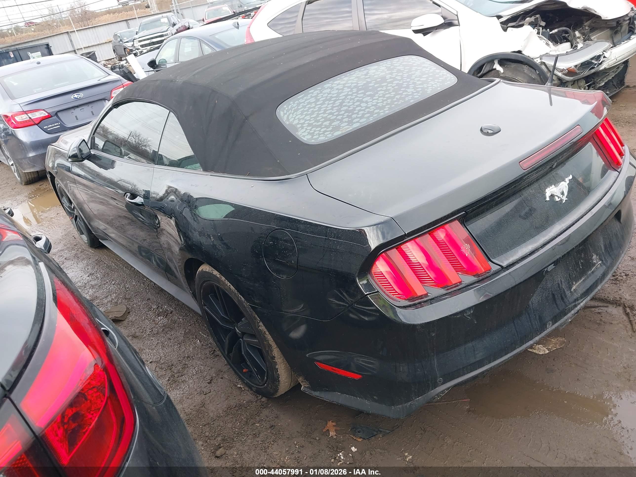 FORD MUSTANG image 3