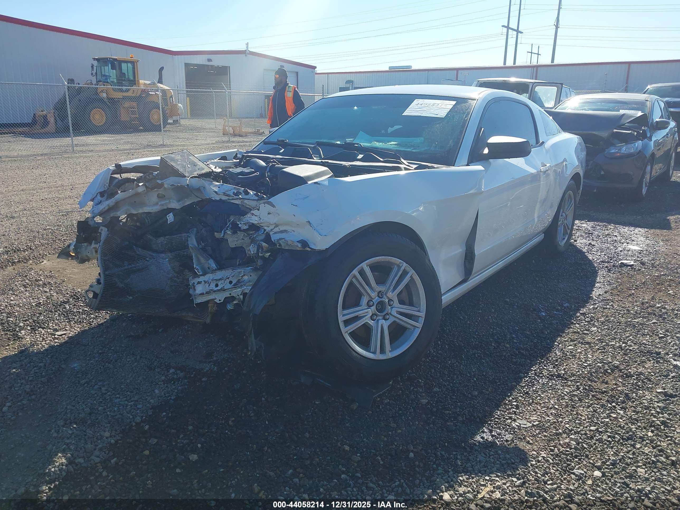 FORD MUSTANG image 2