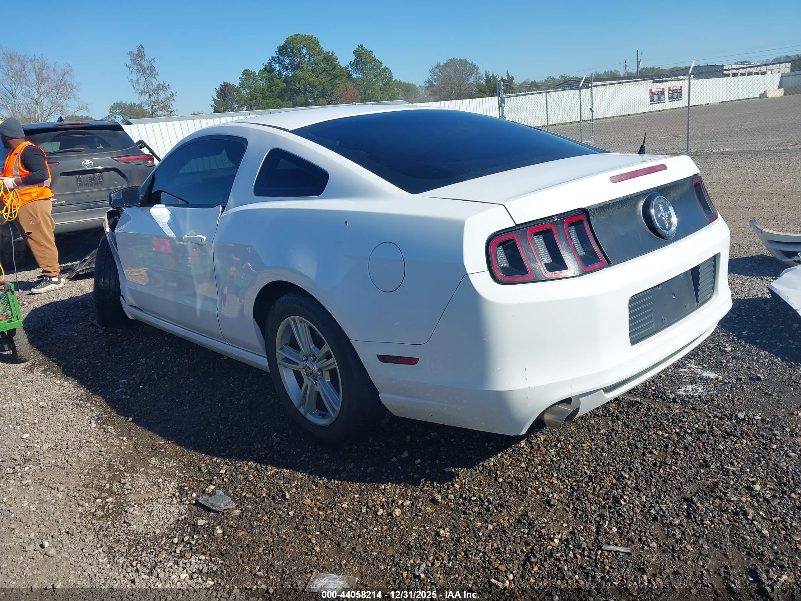 FORD MUSTANG image 3