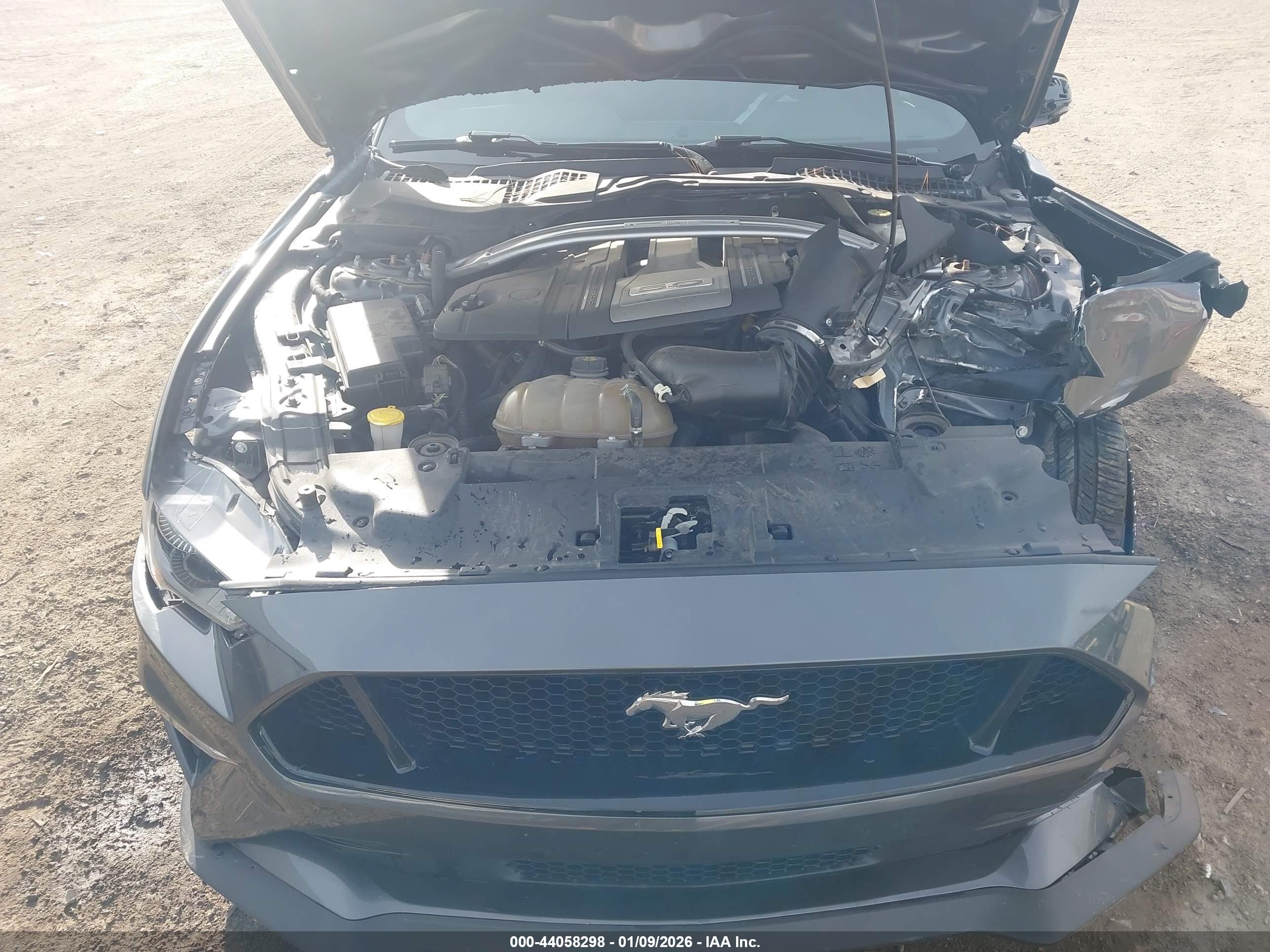 FORD MUSTANG image 10