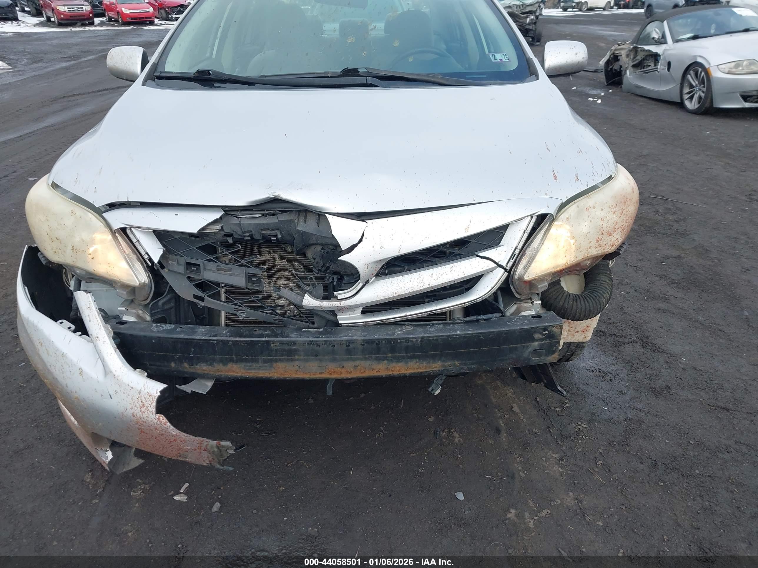 TOYOTA COROLLA image 6
