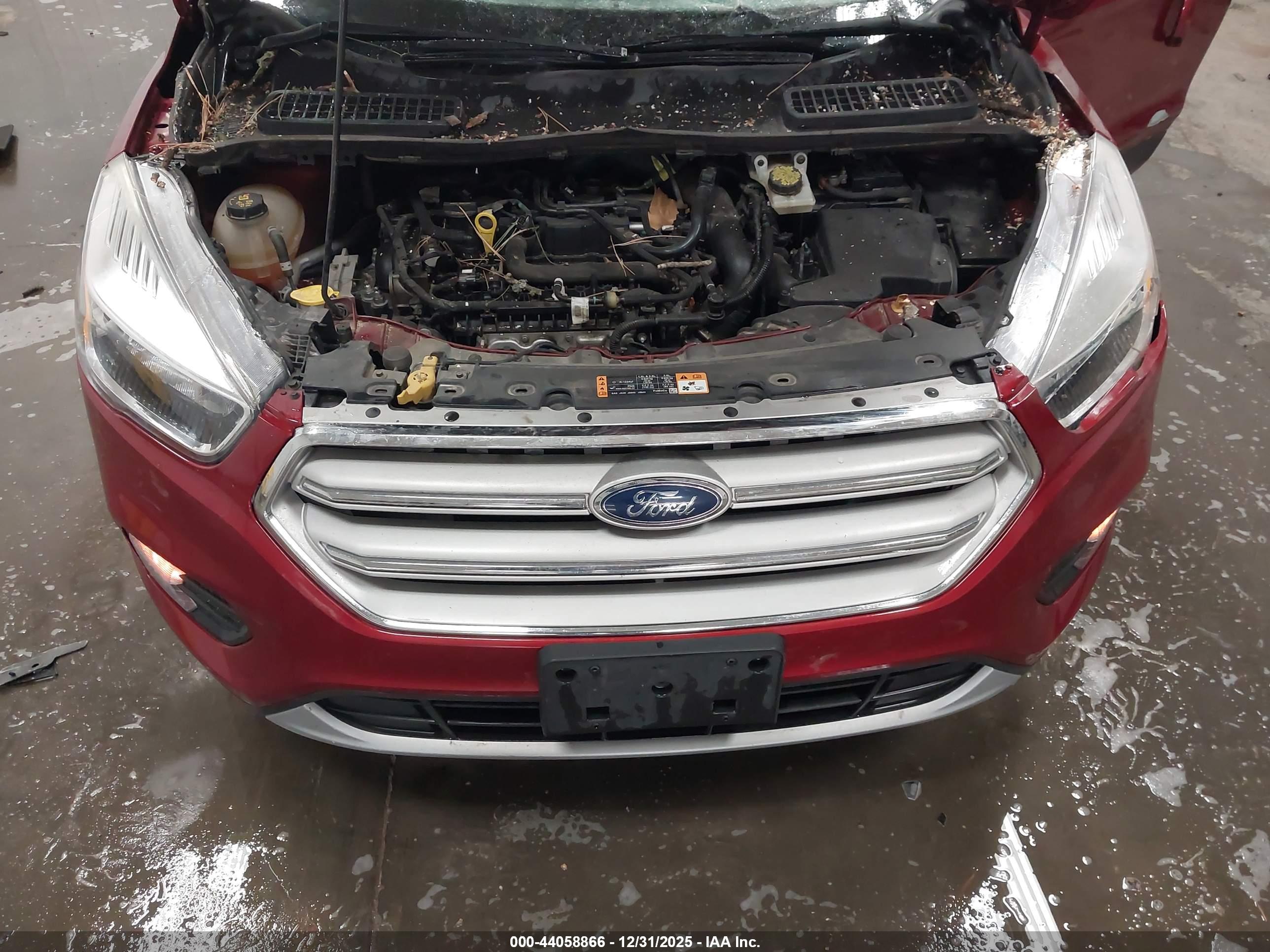 FORD ESCAPE image 10