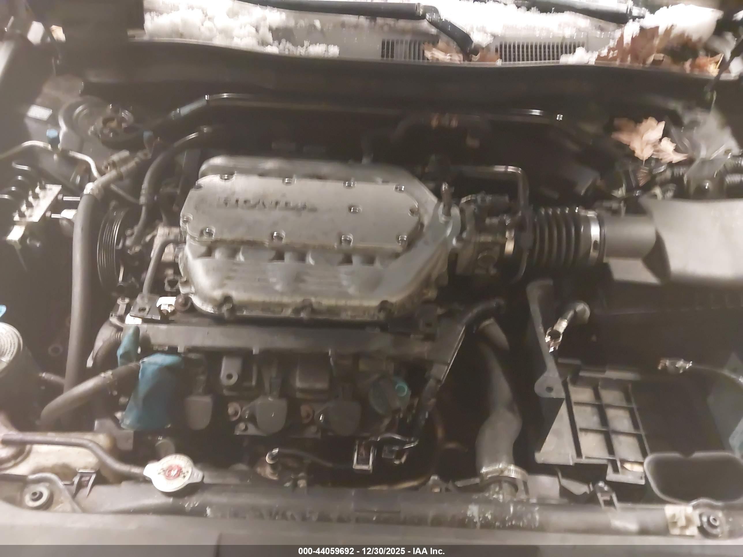 HONDA ACCORD image 10