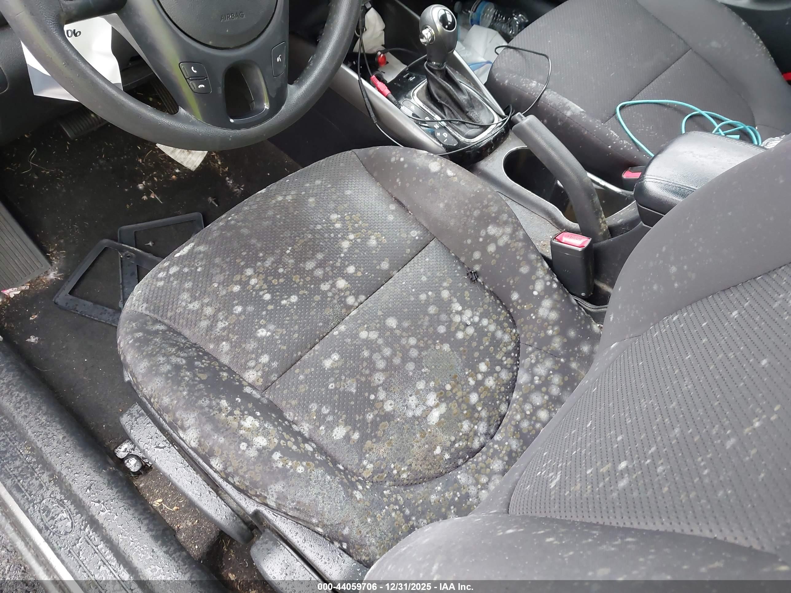 KIA FORTE image 6
