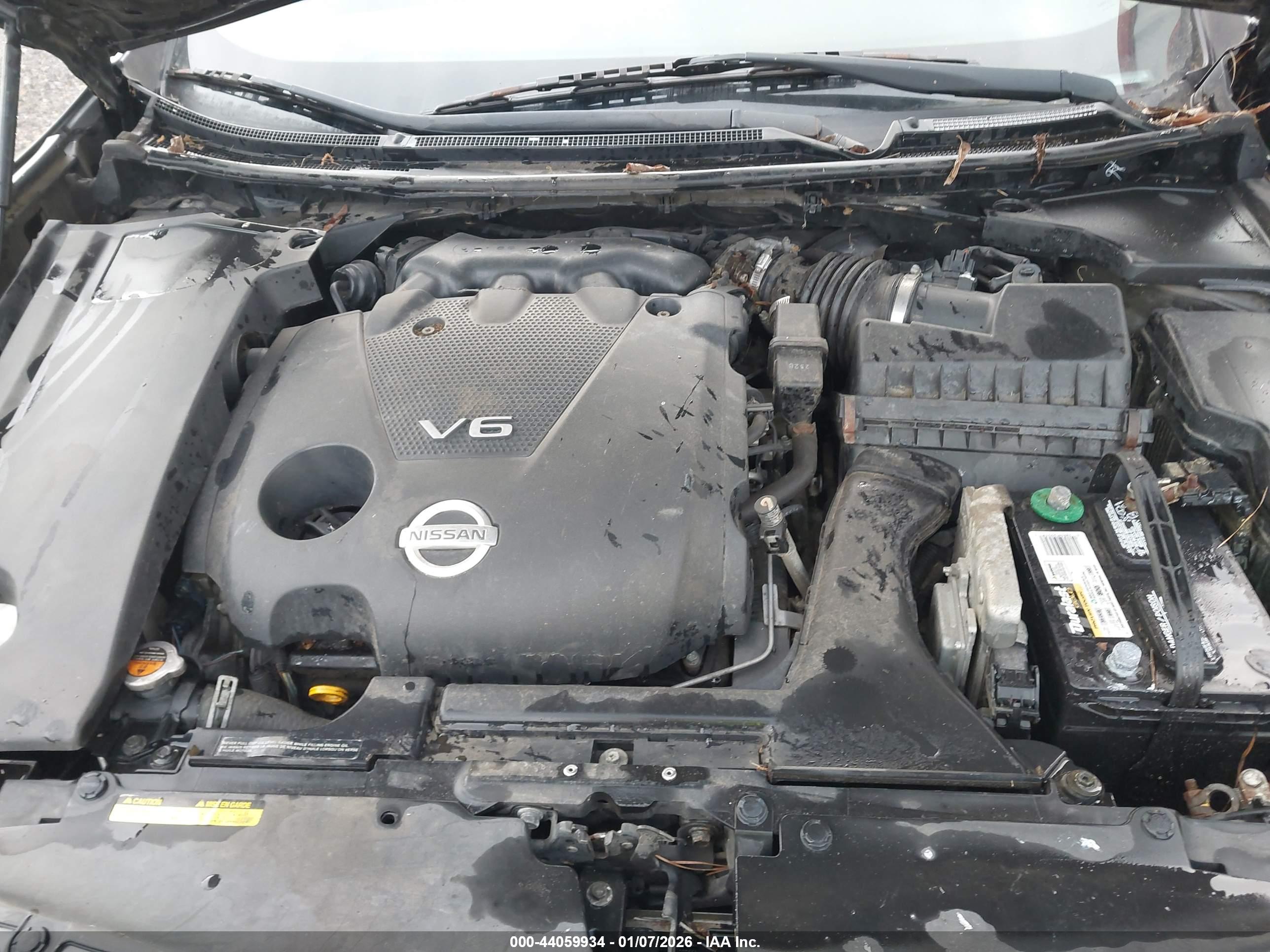 NISSAN MAXIMA image 10