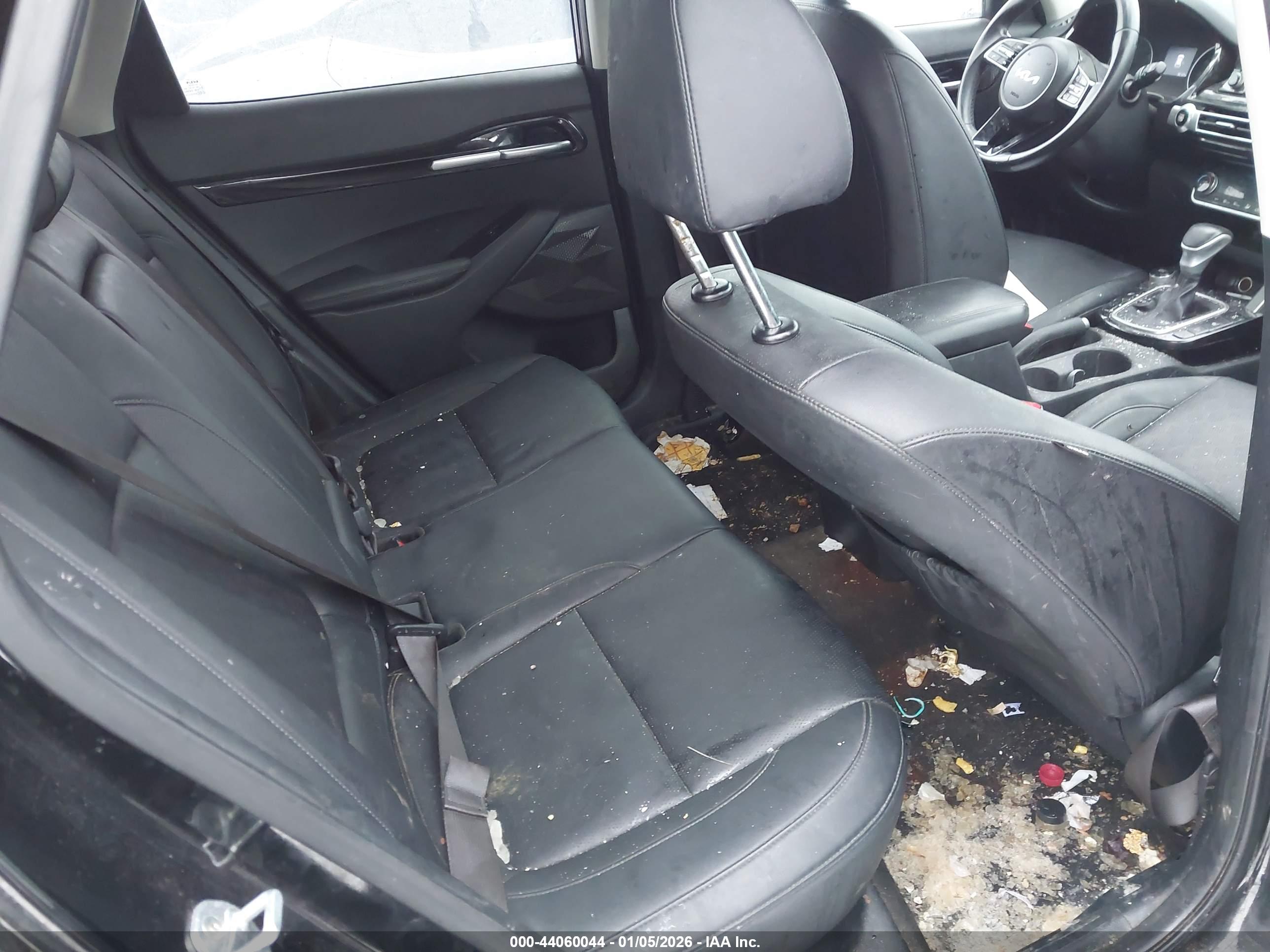 KIA SELTOS image 8