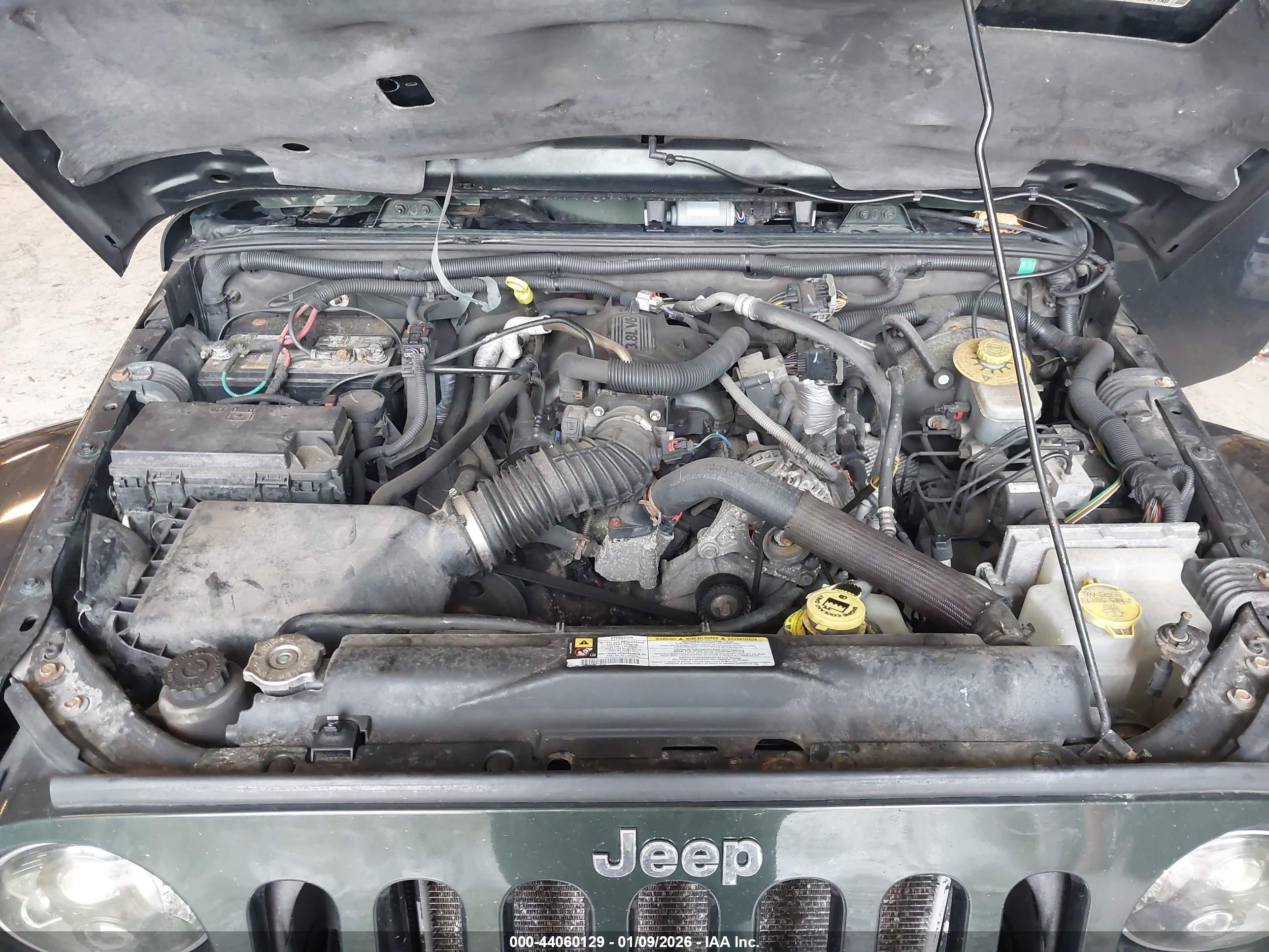 JEEP WRANGLER image 10
