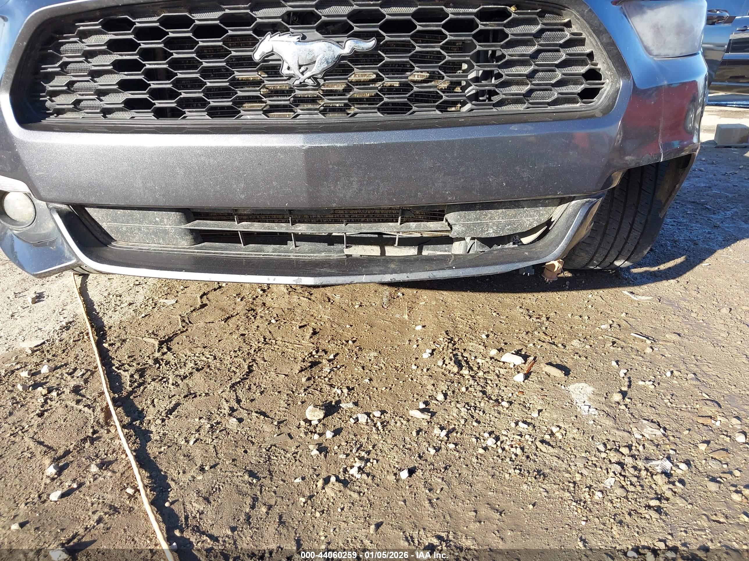 FORD MUSTANG image 6