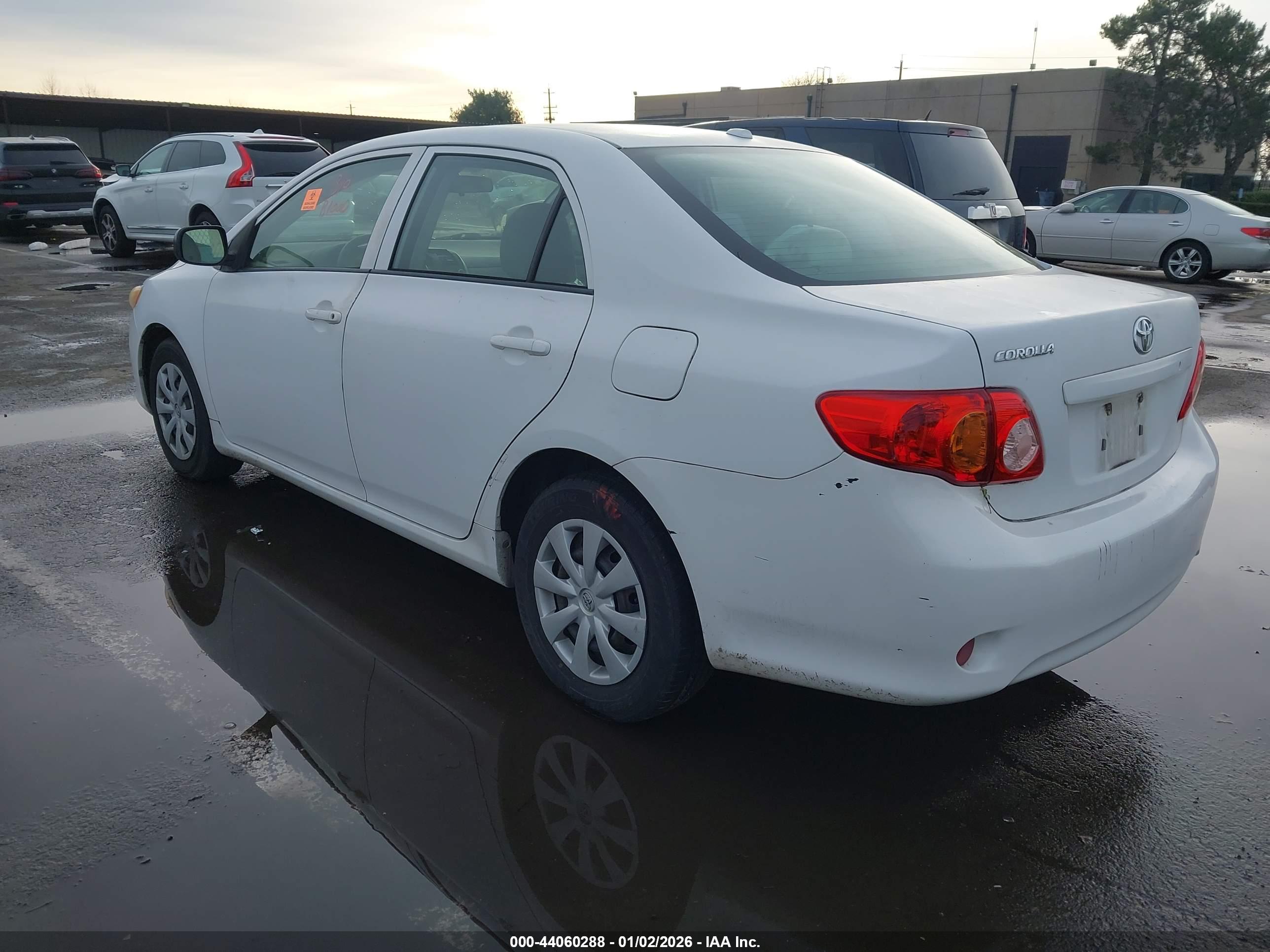 TOYOTA COROLLA image 3