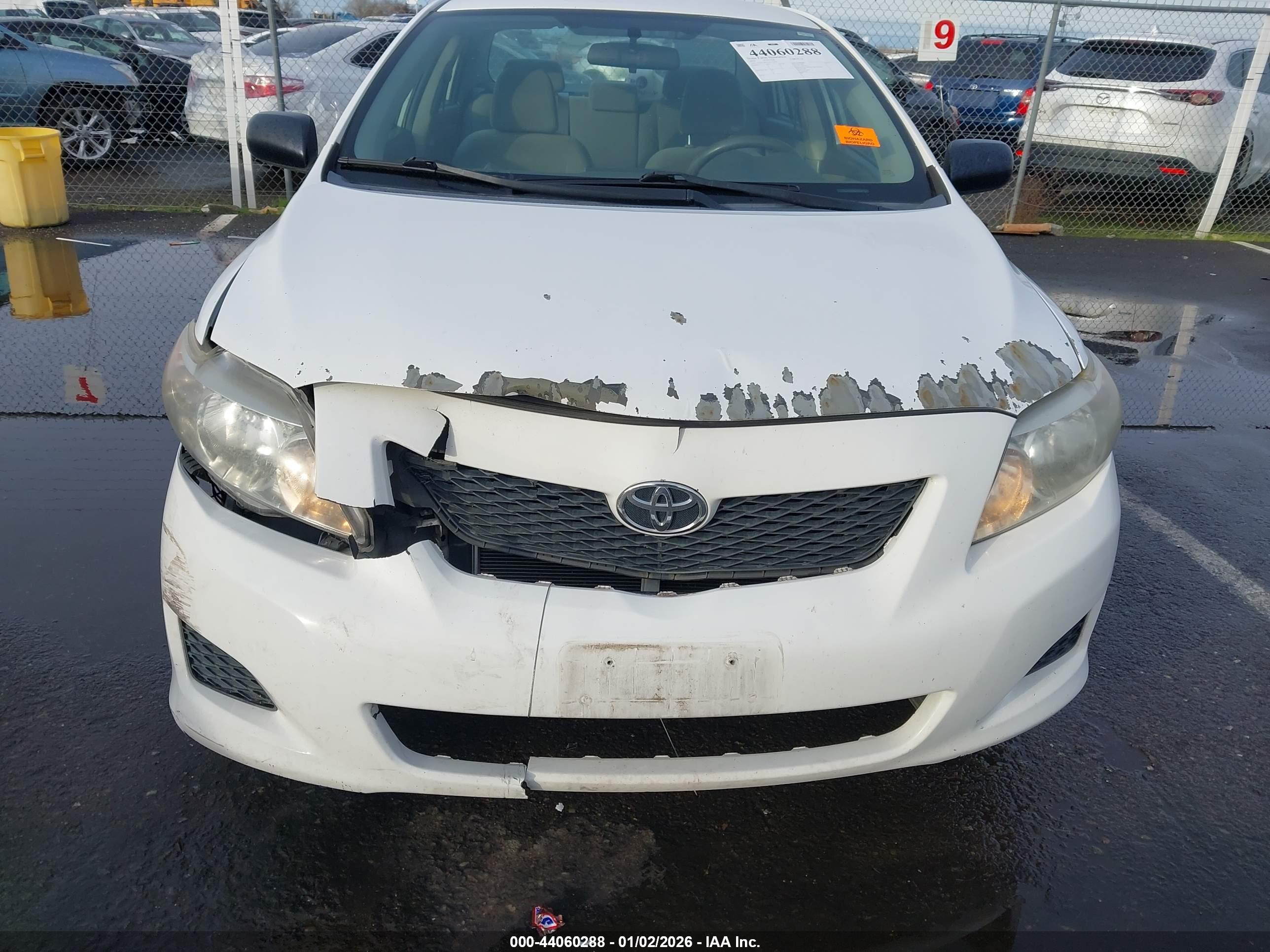 TOYOTA COROLLA image 6