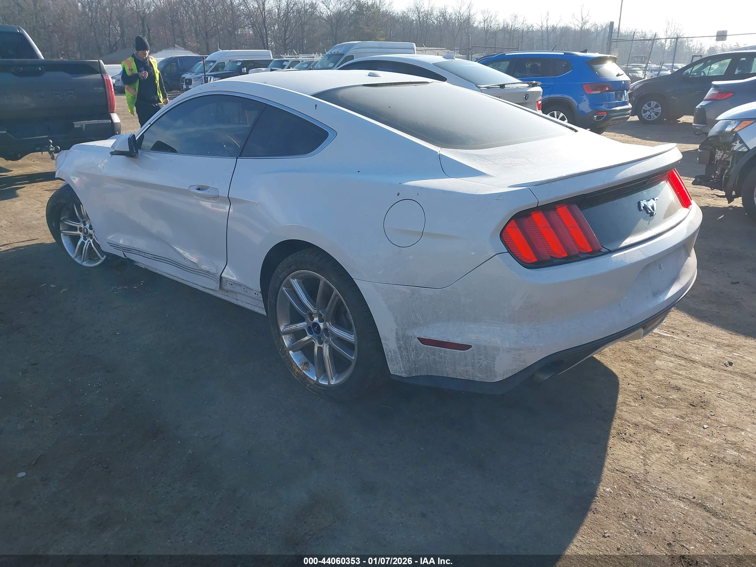 FORD MUSTANG image 3