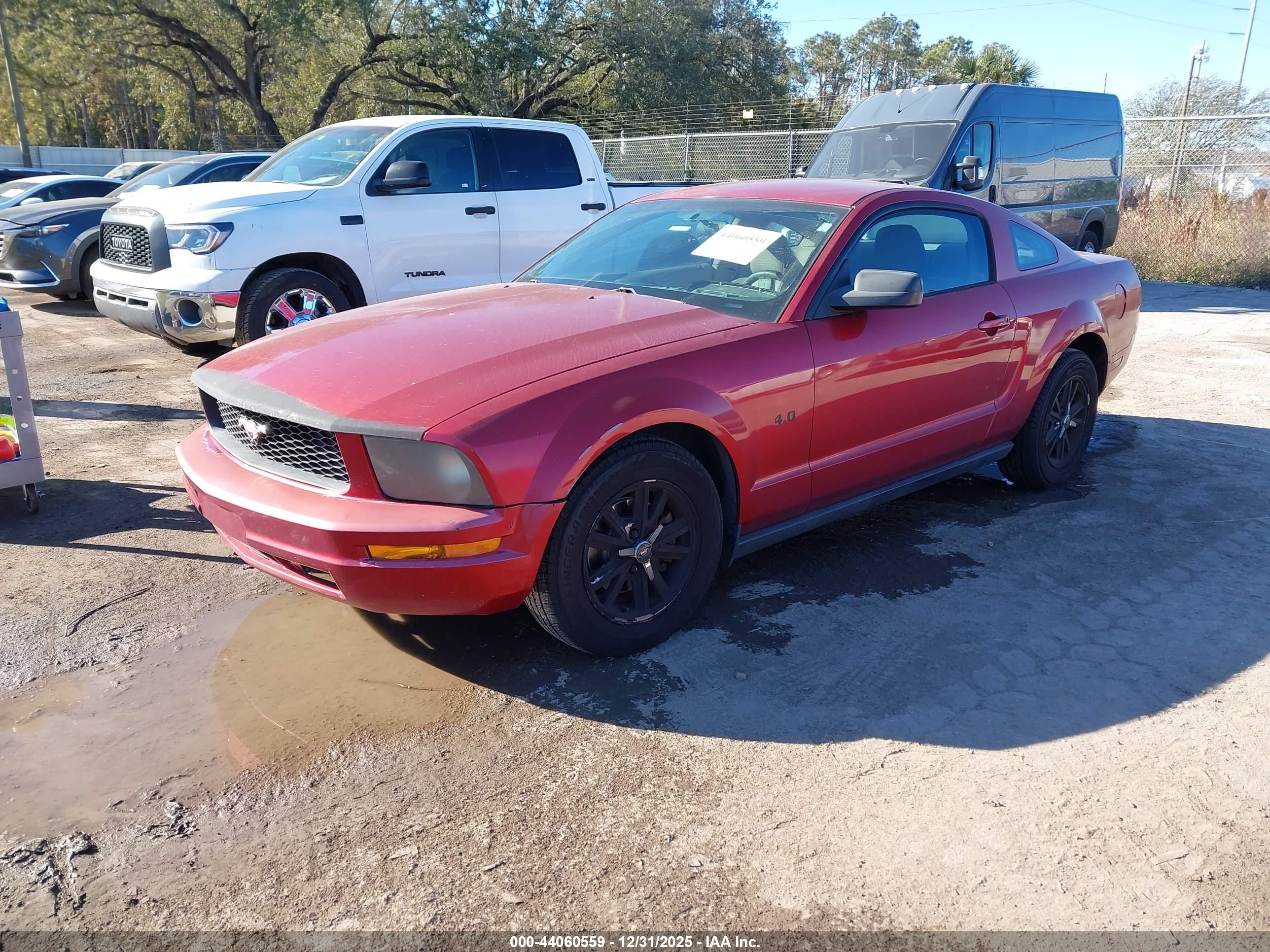 FORD MUSTANG image 2