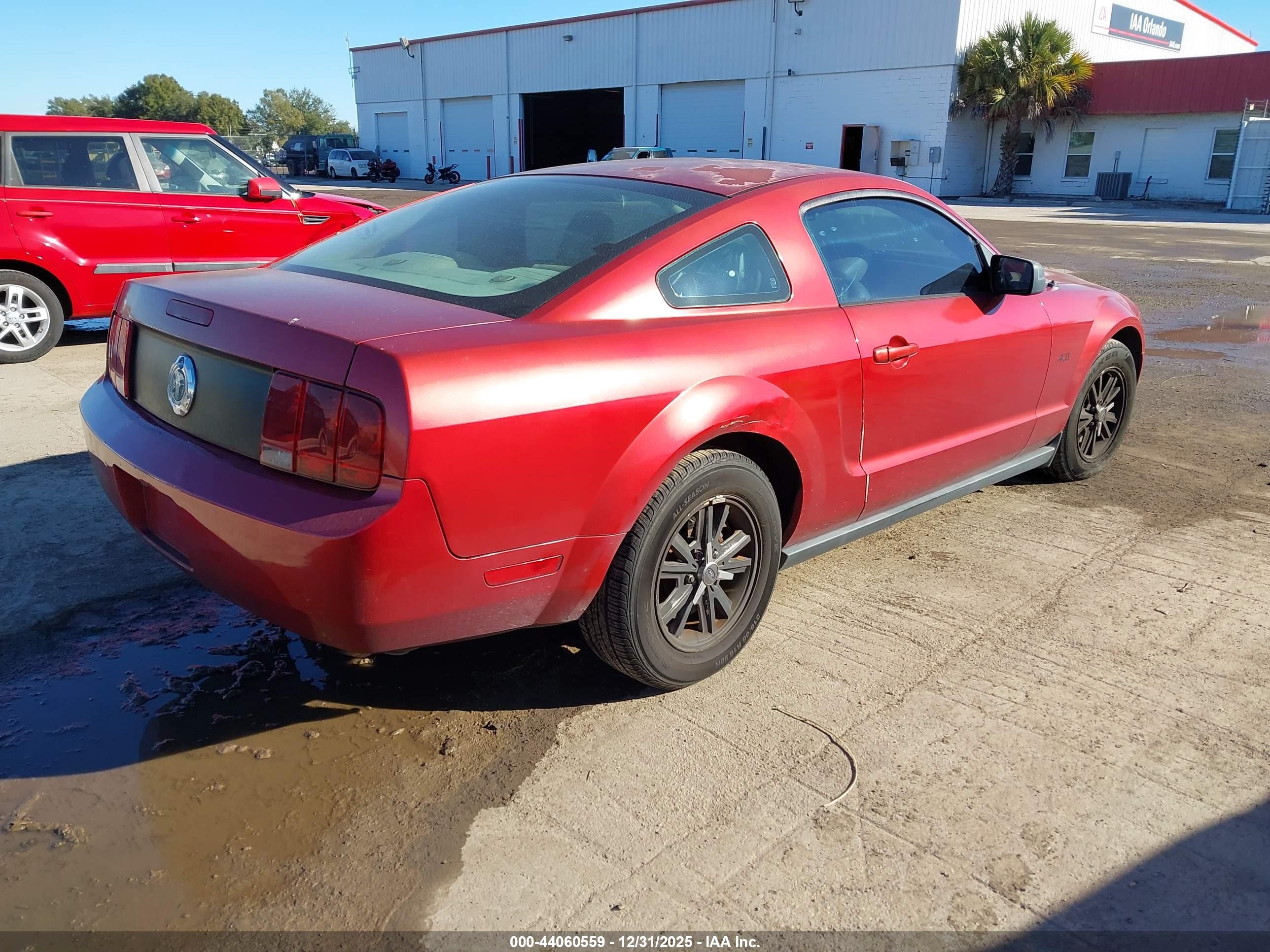 FORD MUSTANG image 4
