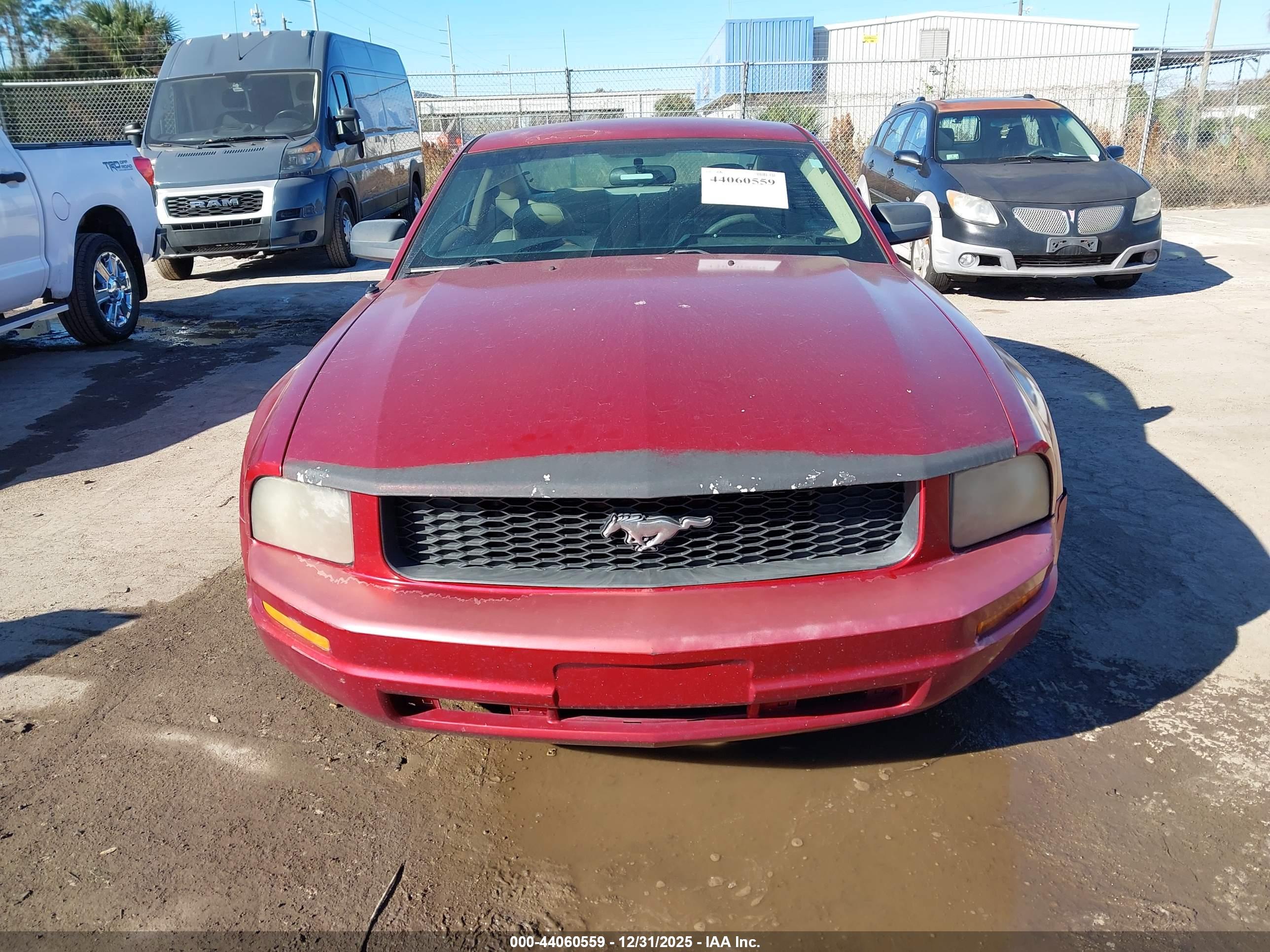 FORD MUSTANG image 6
