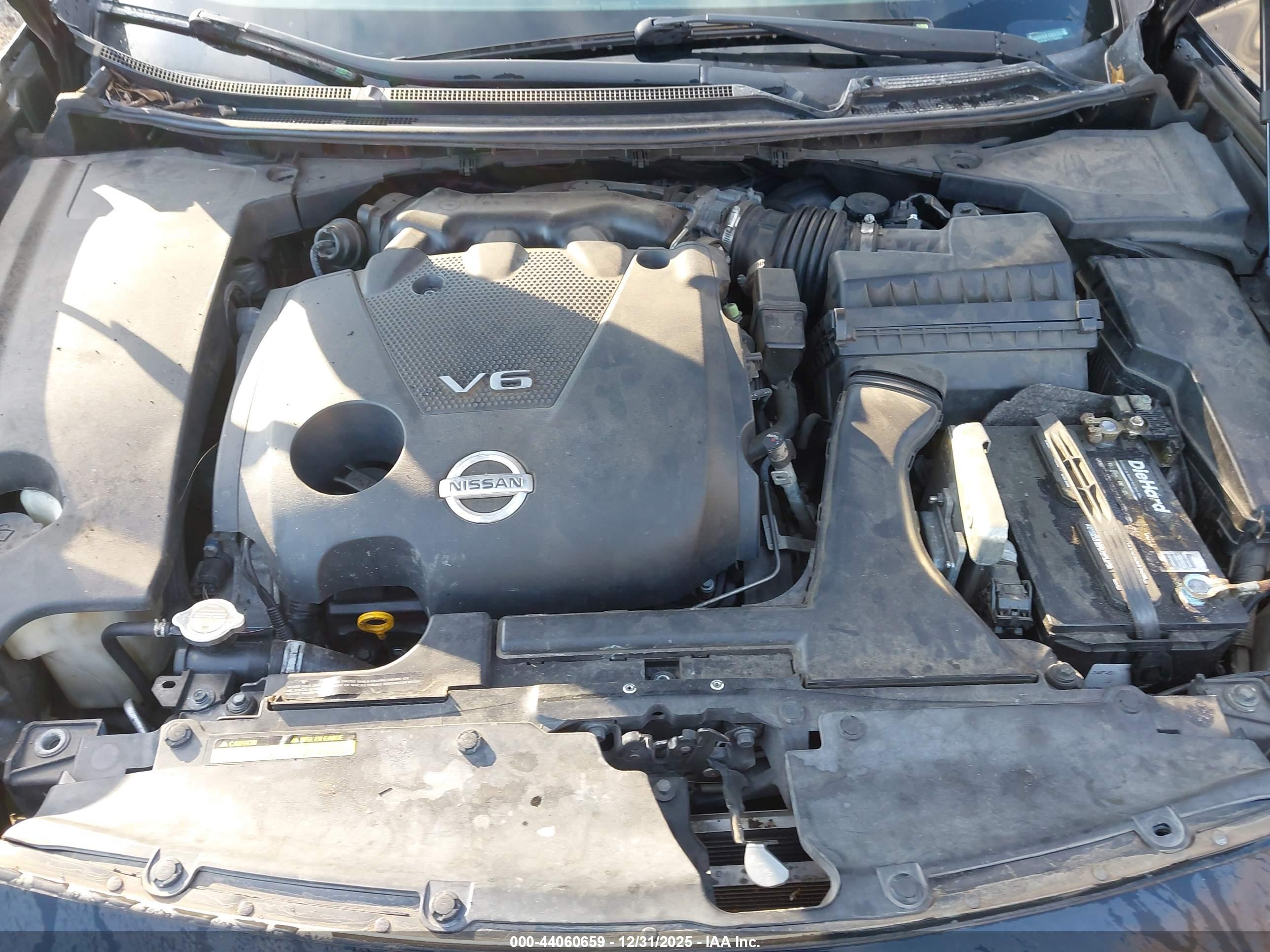 NISSAN MAXIMA image 10