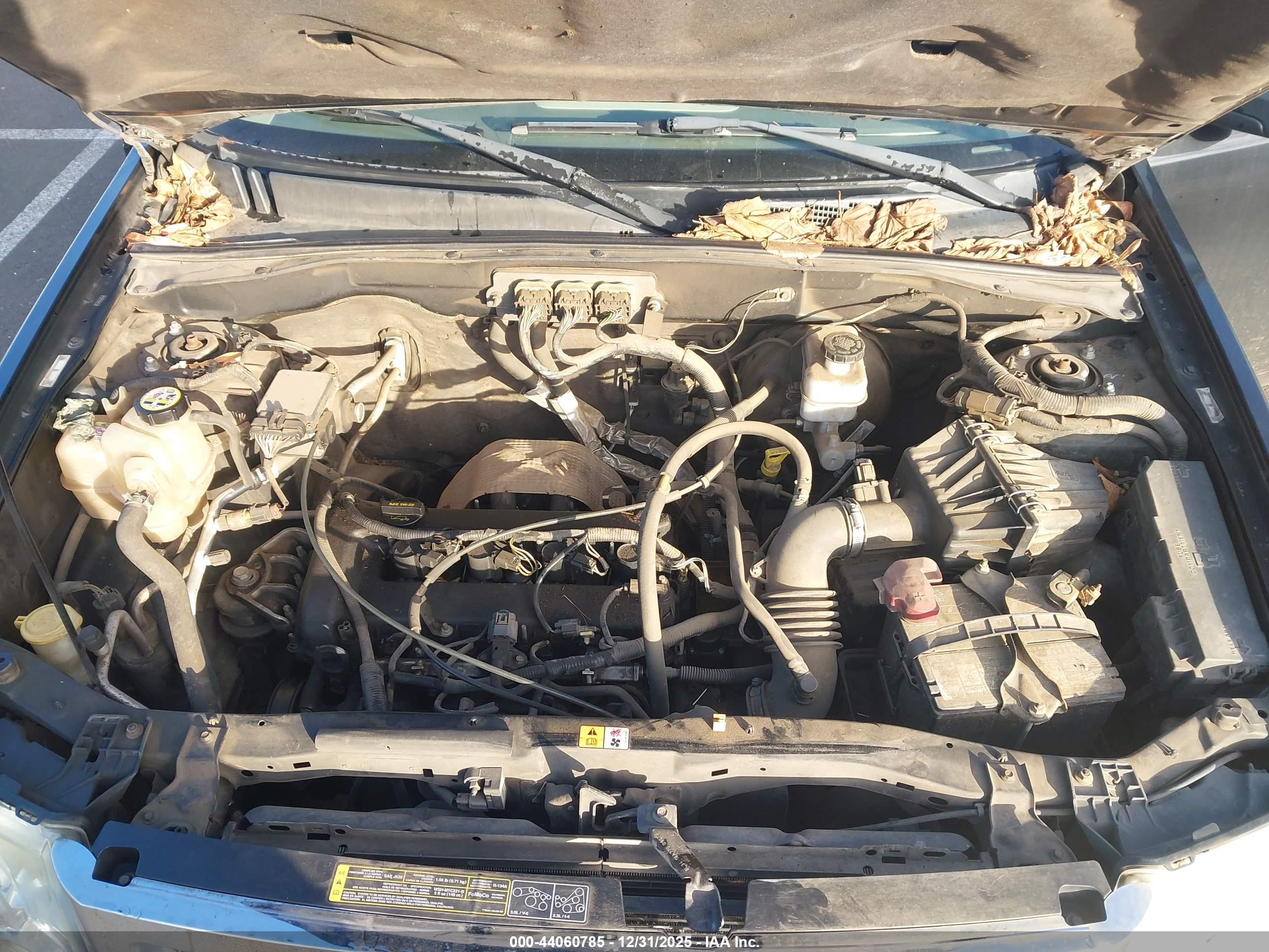 FORD ESCAPE image 10