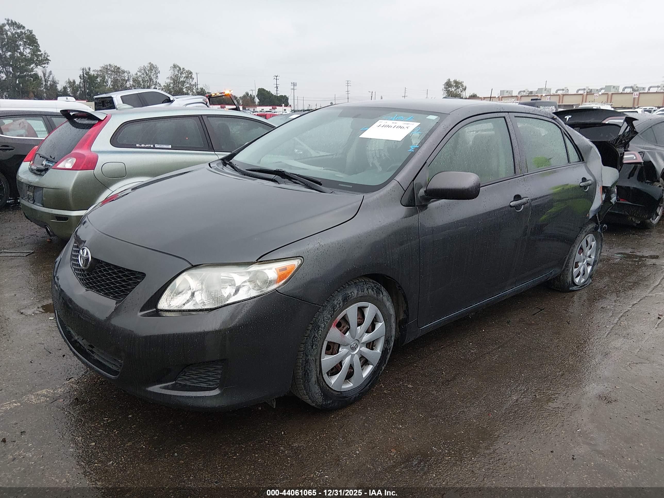 TOYOTA COROLLA image 2