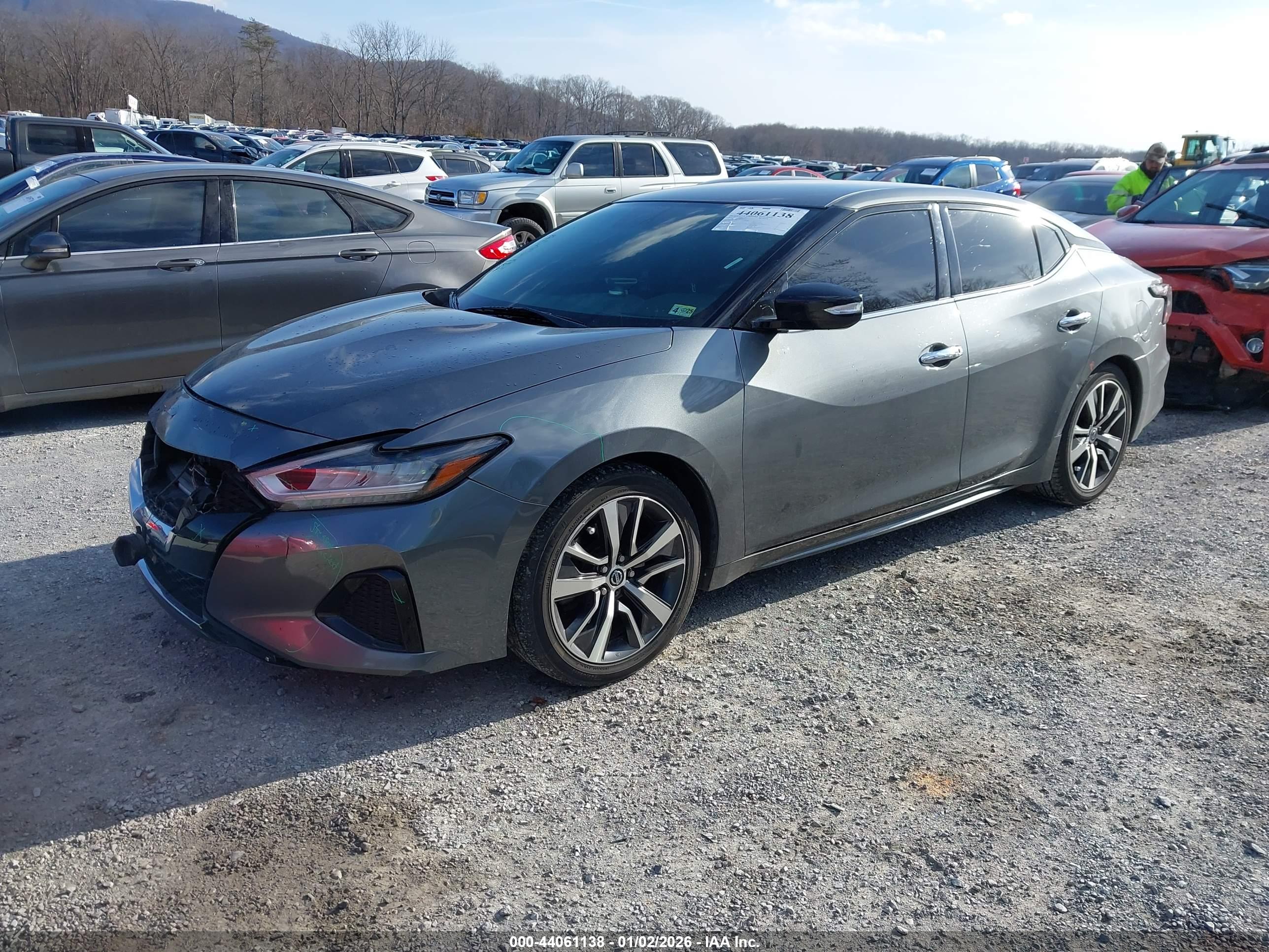 NISSAN MAXIMA image 2
