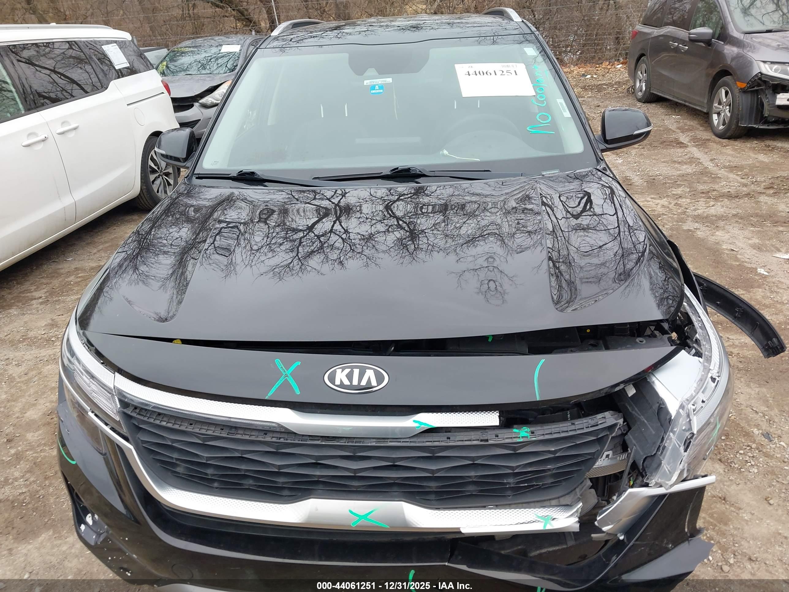 KIA SELTOS image 6