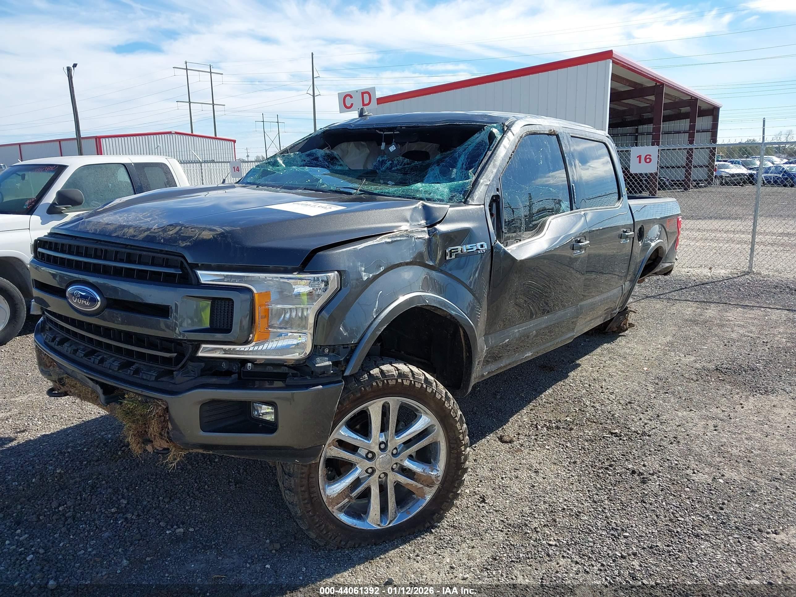 FORD F-150 image 2