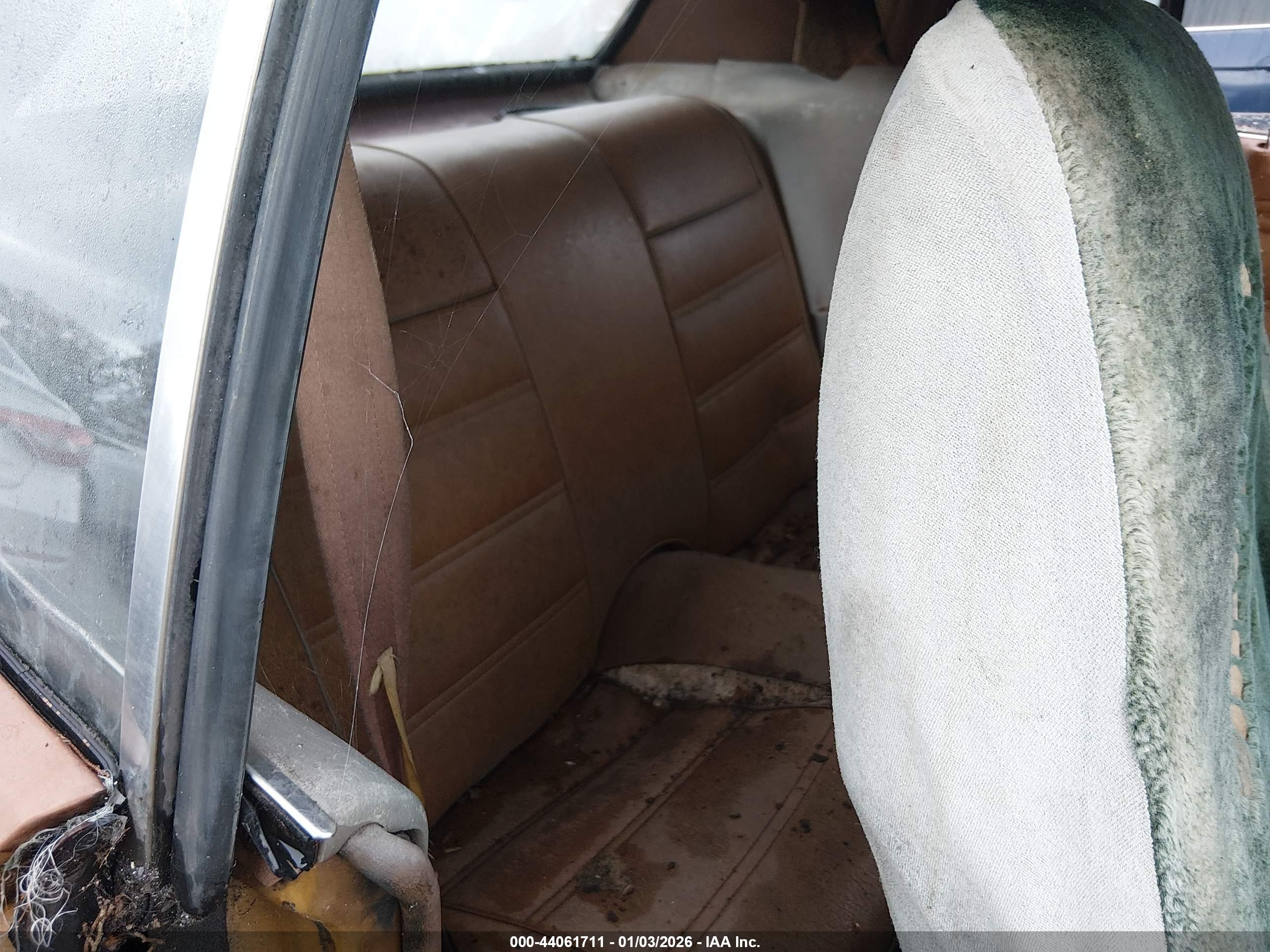 FORD MUSTANG image 8