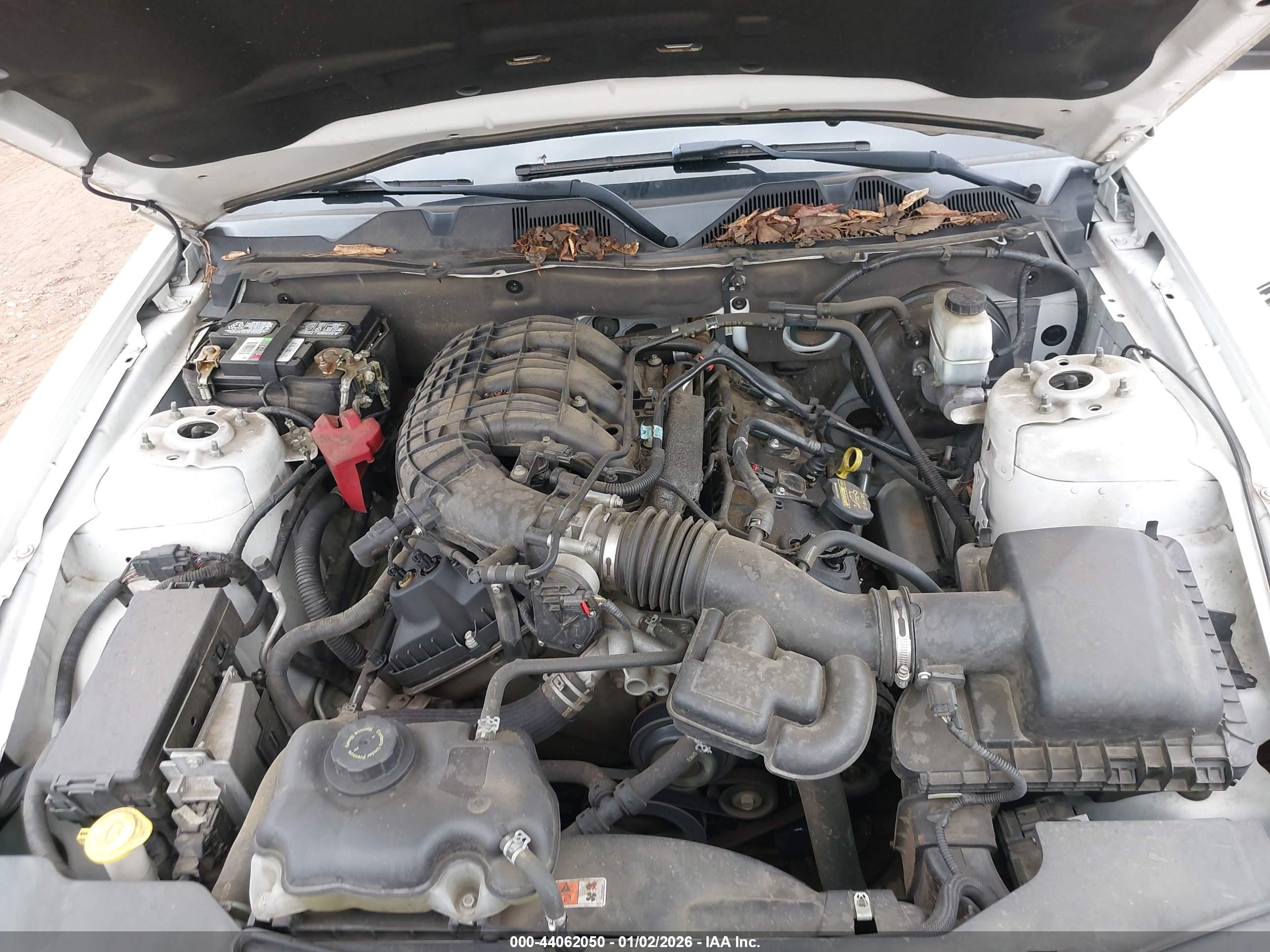 FORD MUSTANG image 10