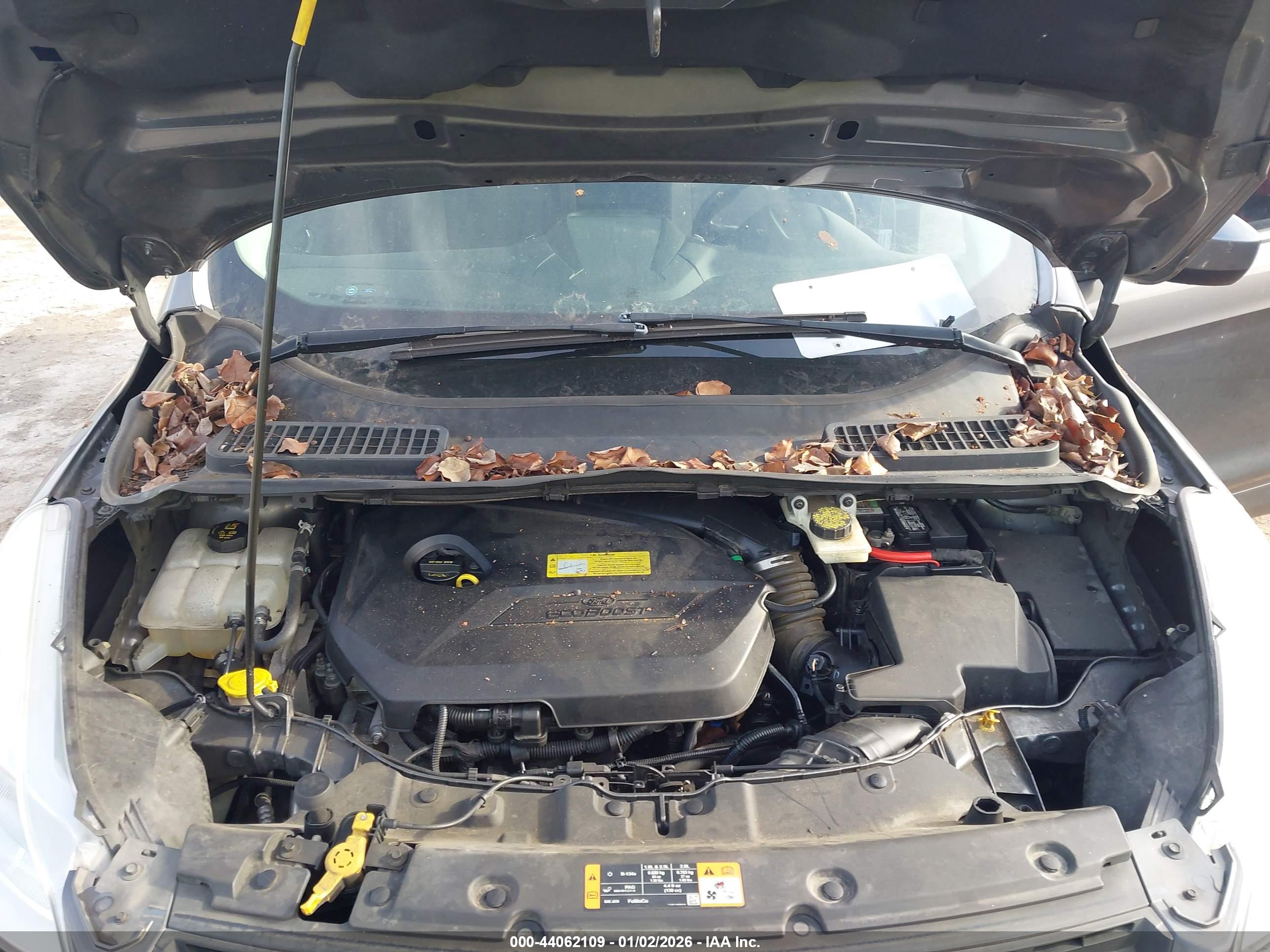 FORD ESCAPE image 10