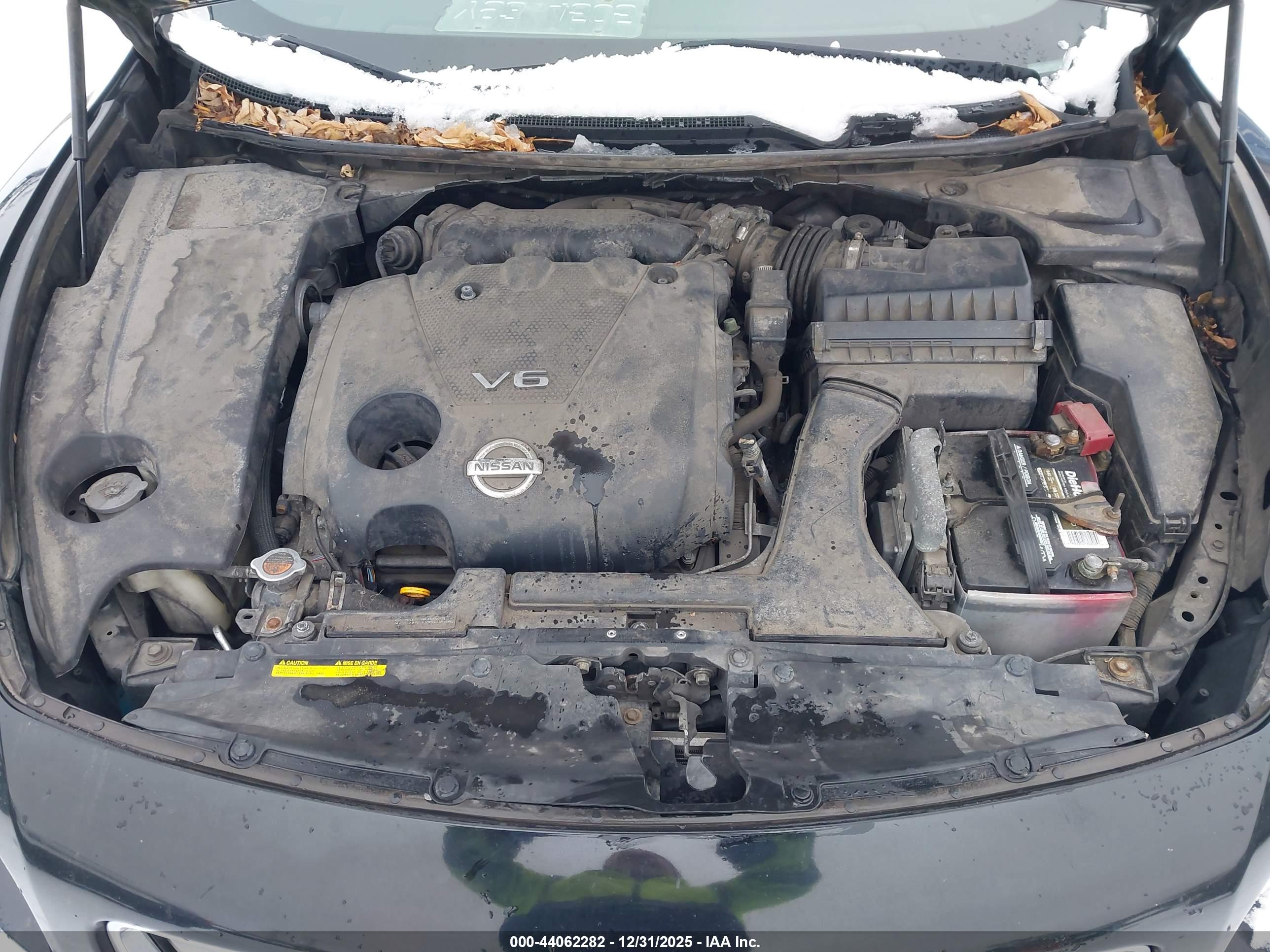 NISSAN MAXIMA image 10