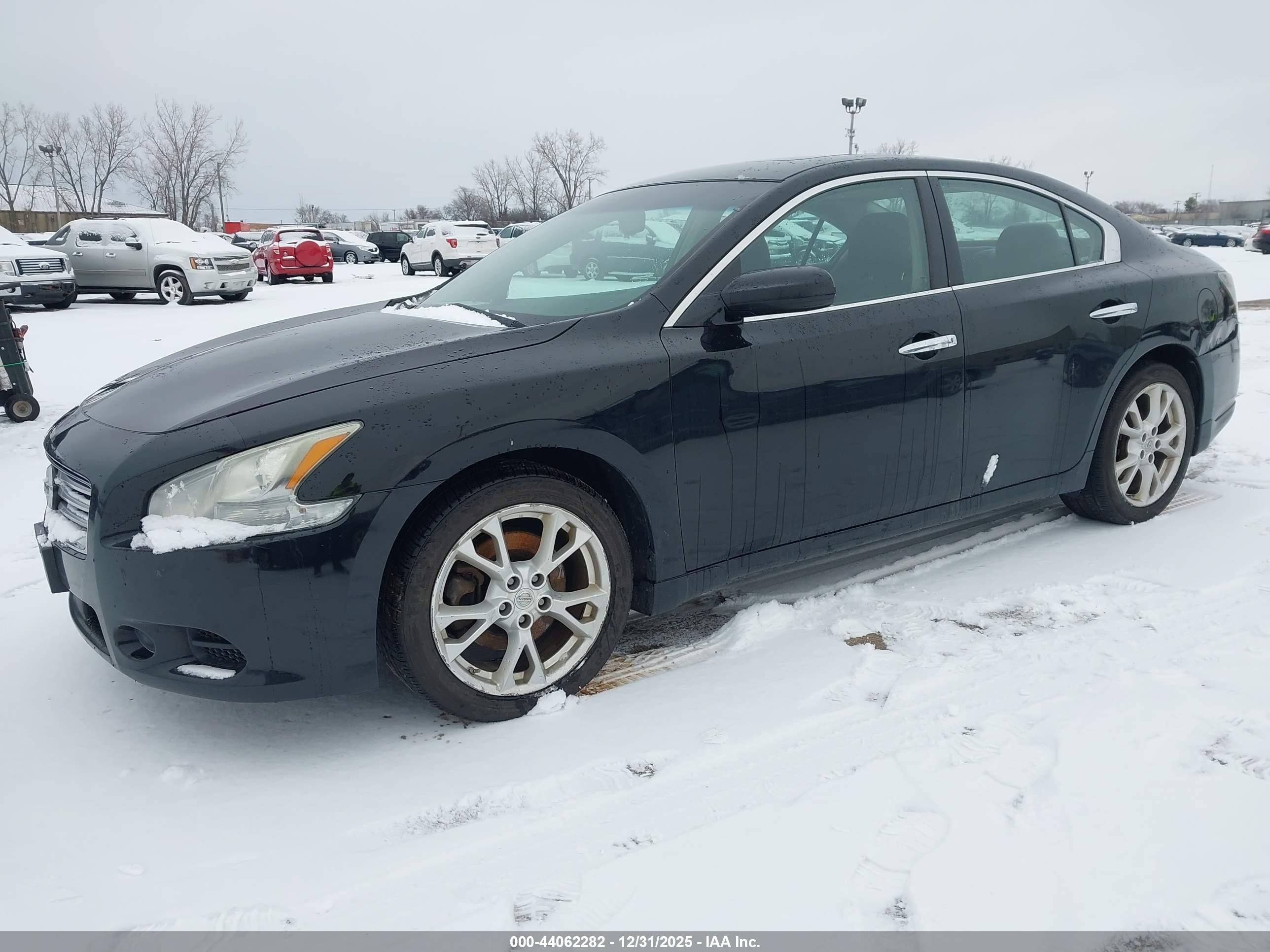 NISSAN MAXIMA image 2