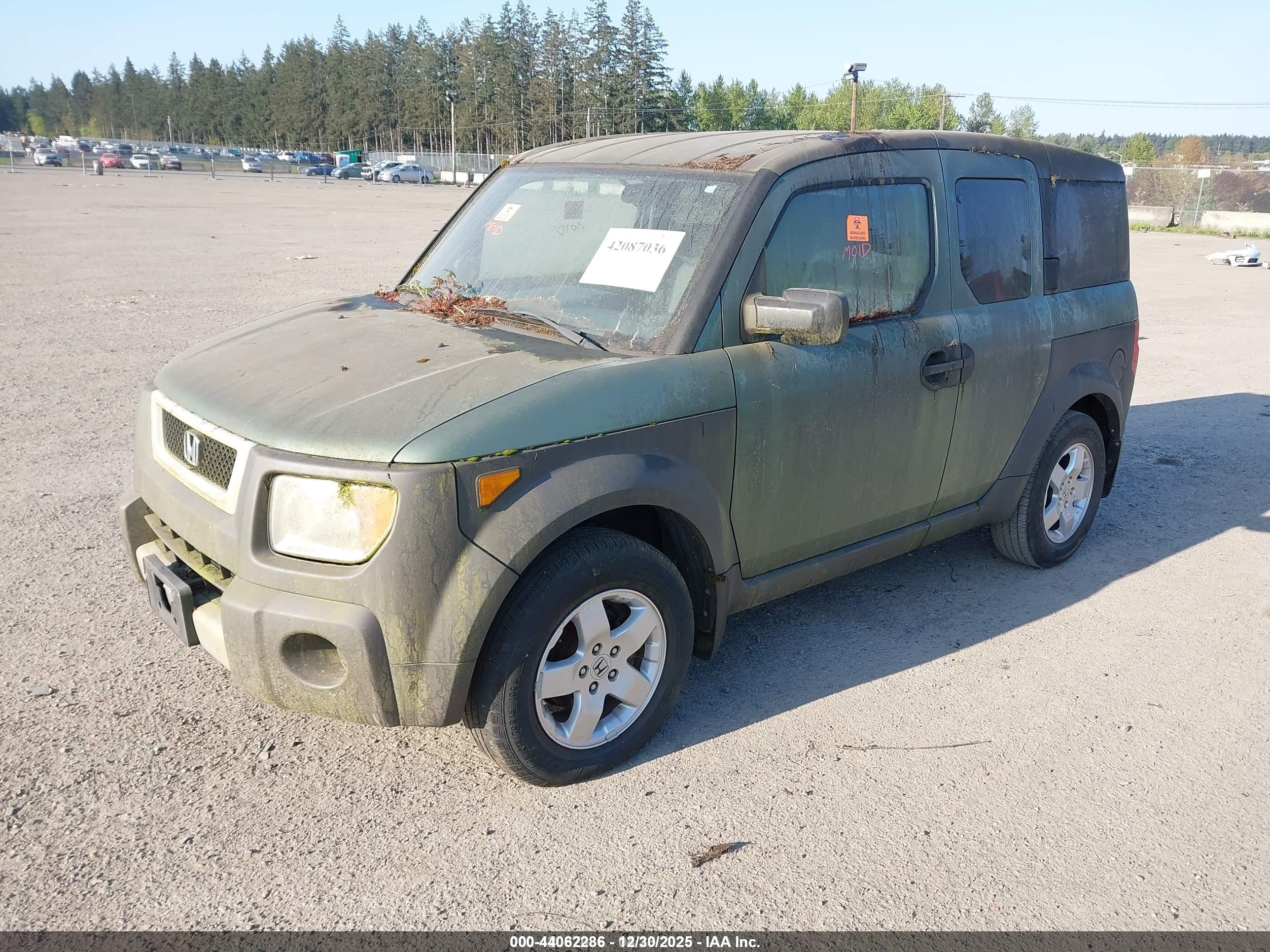 HONDA ELEMENT image 2